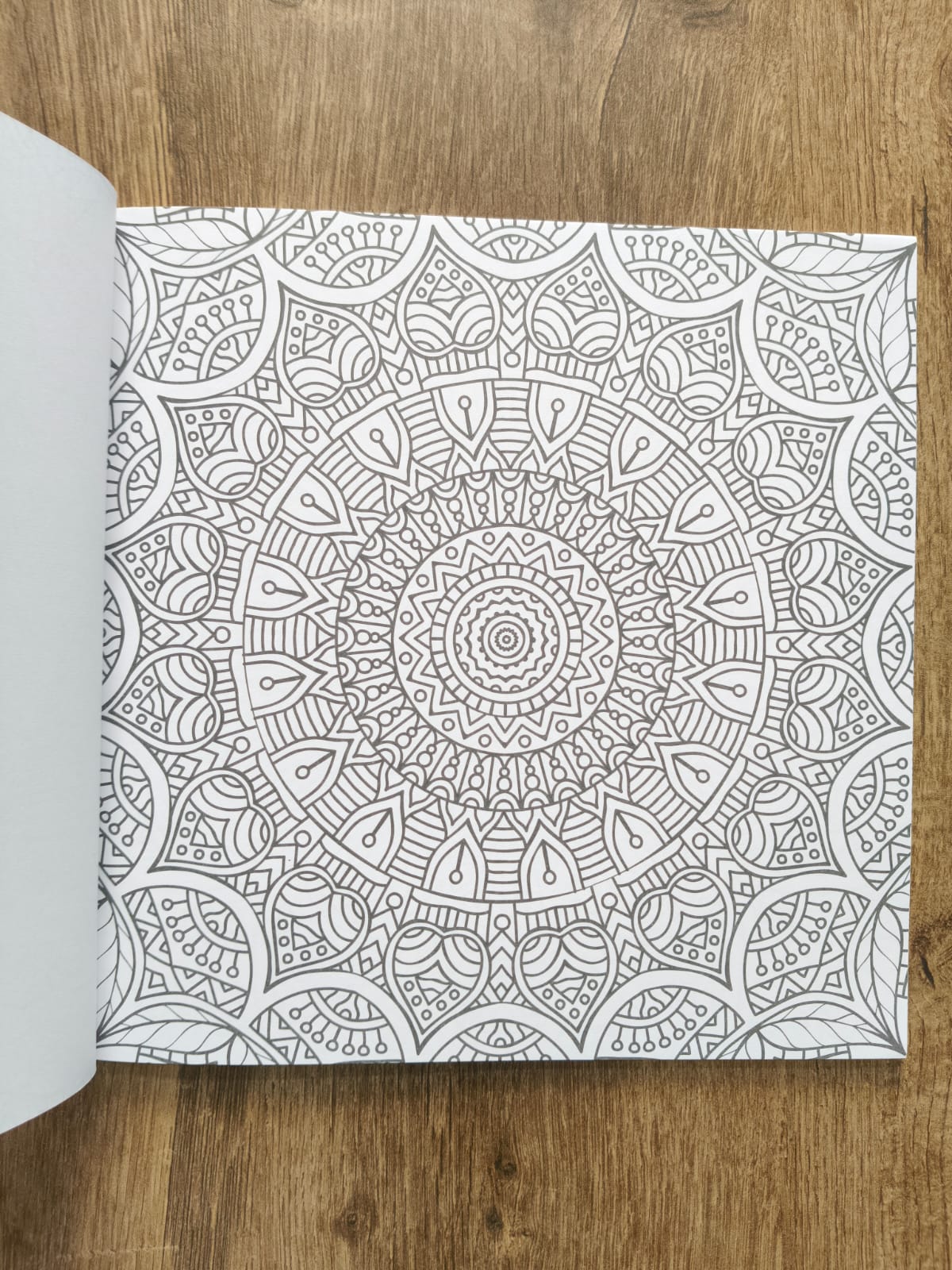 Grown Ups Colouring Book