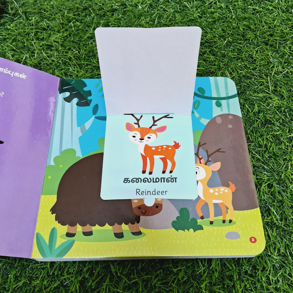 என்னை கண்டுபிடியுங்கள் - To Whom These Belong - English/Tamil Flap Book