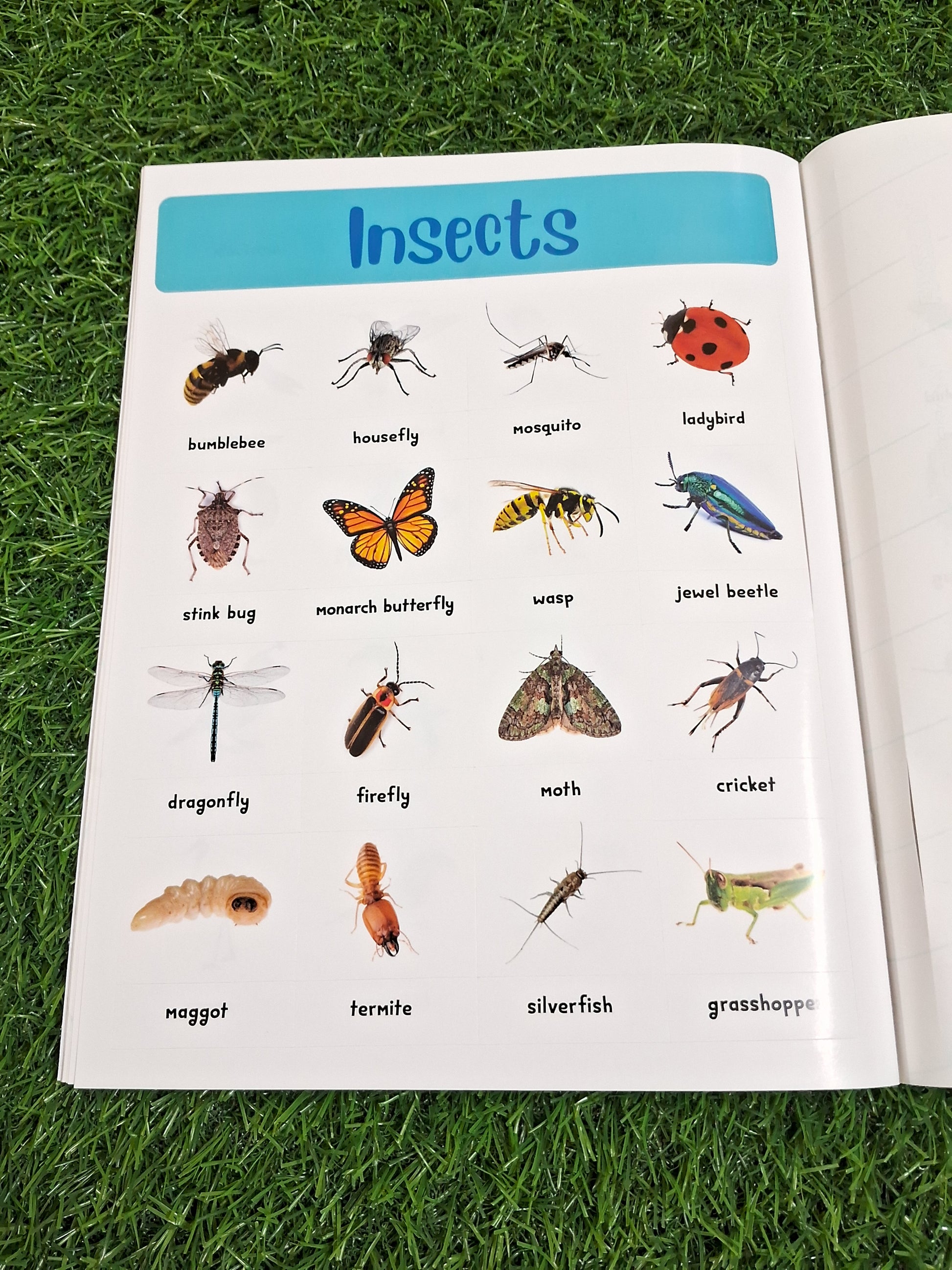 400+ Animals Stickers