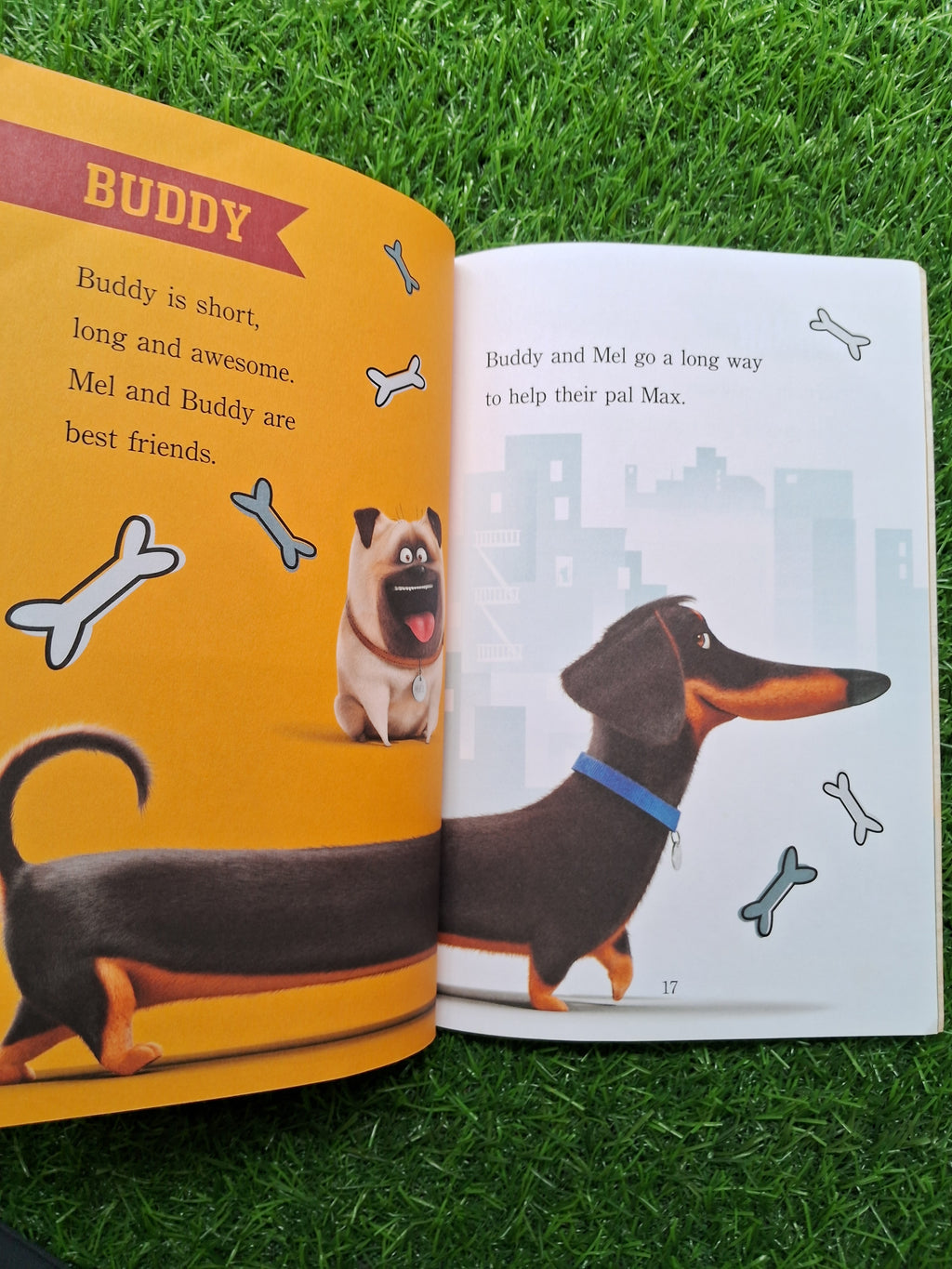 Meets the pets -  Very Good Condition Paperback
