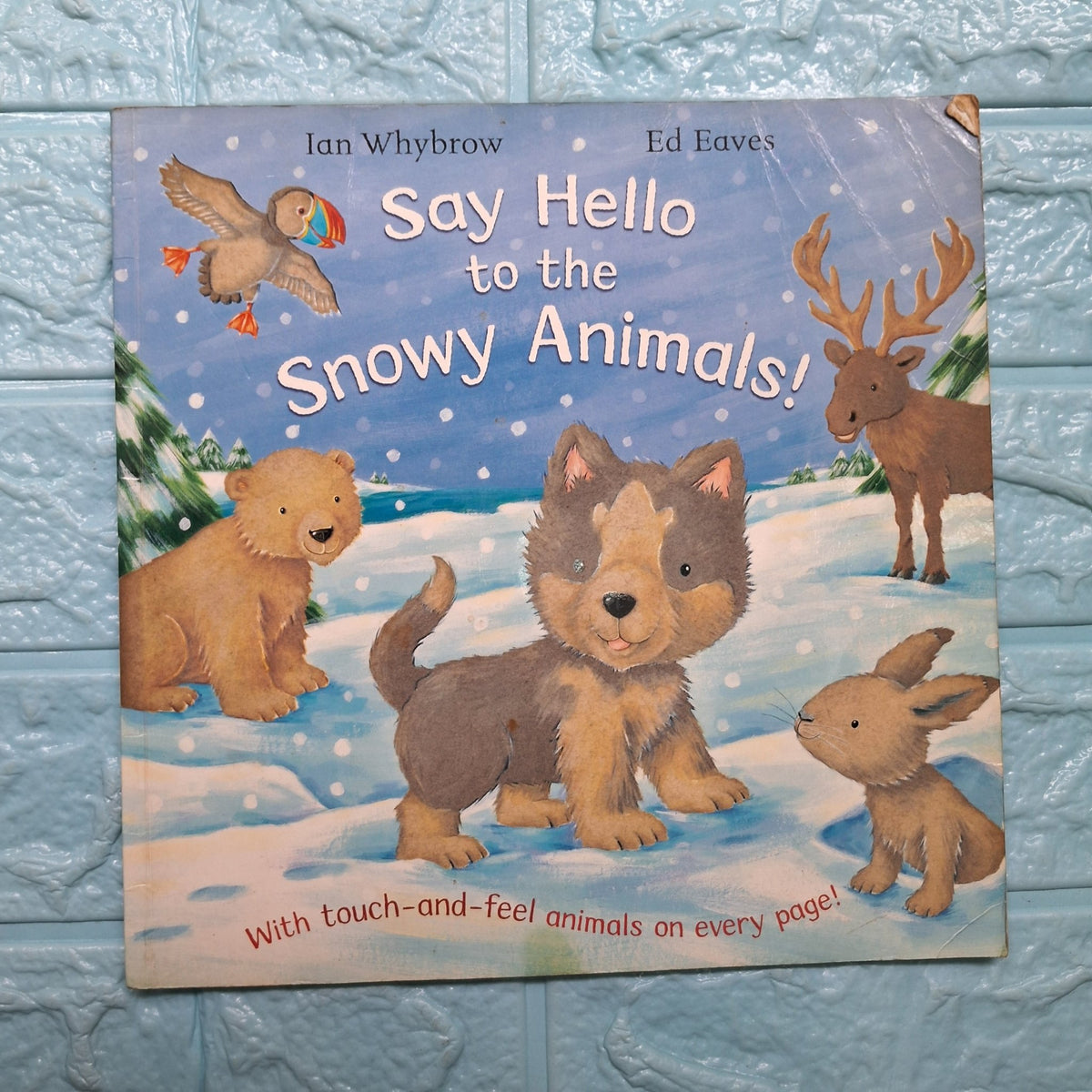 Say Hello to the Snowy Animals - Good Condition Paperback - We Are Turners