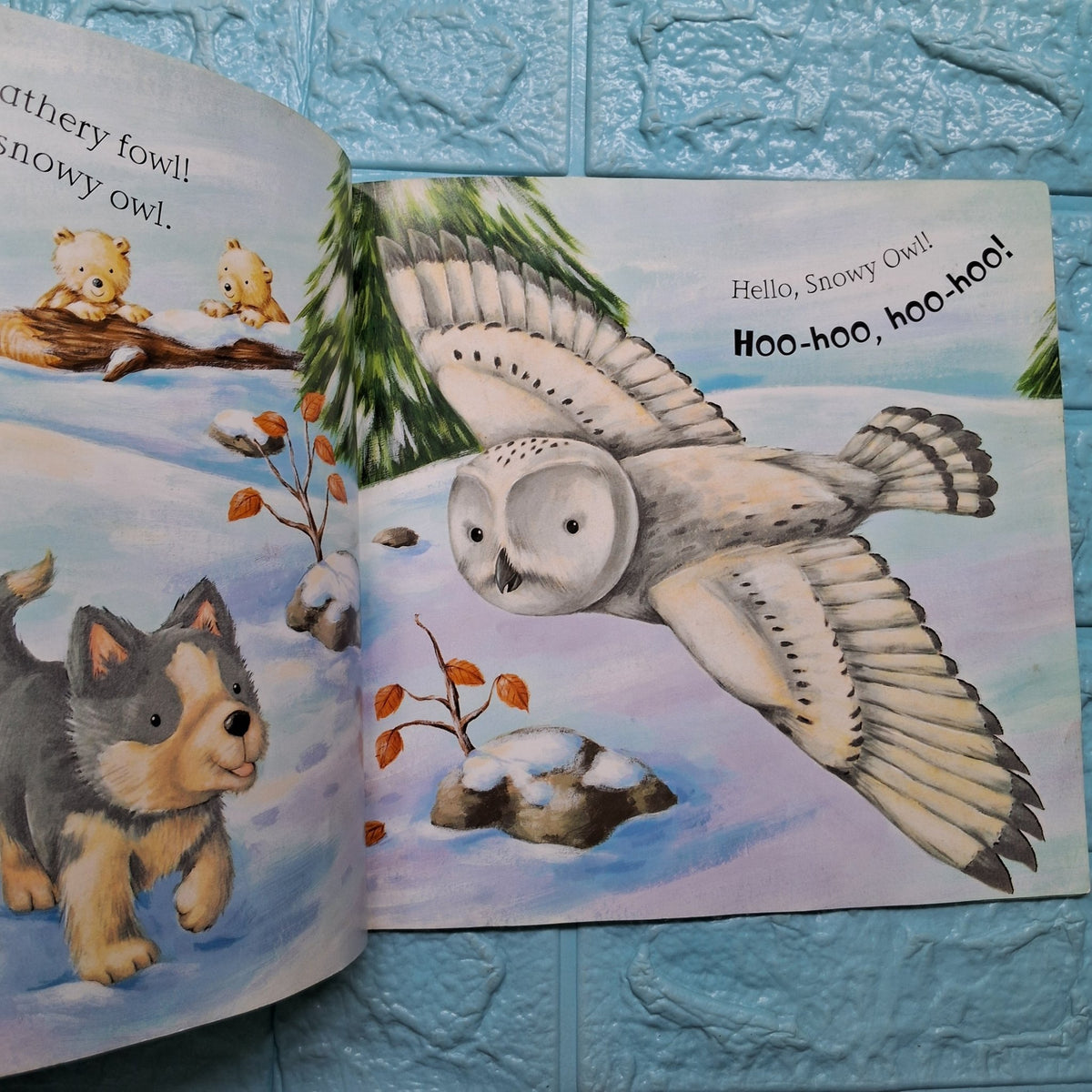 Say Hello to the Snowy Animals - Good Condition Paperback - We Are Turners