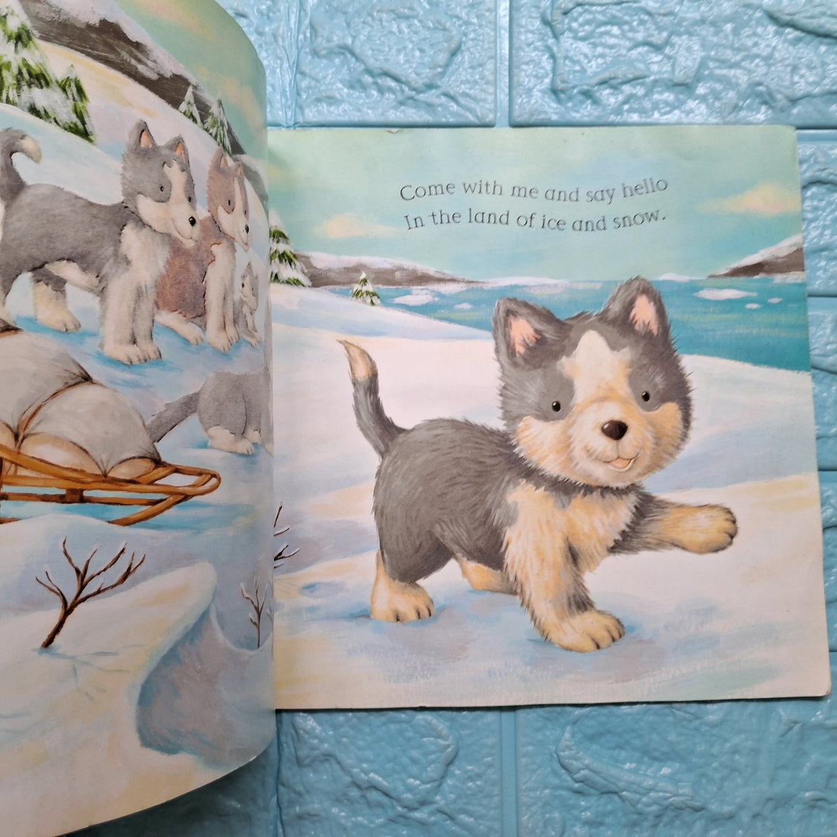 Say Hello to the Snowy Animals - Good Condition Paperback - We Are Turners