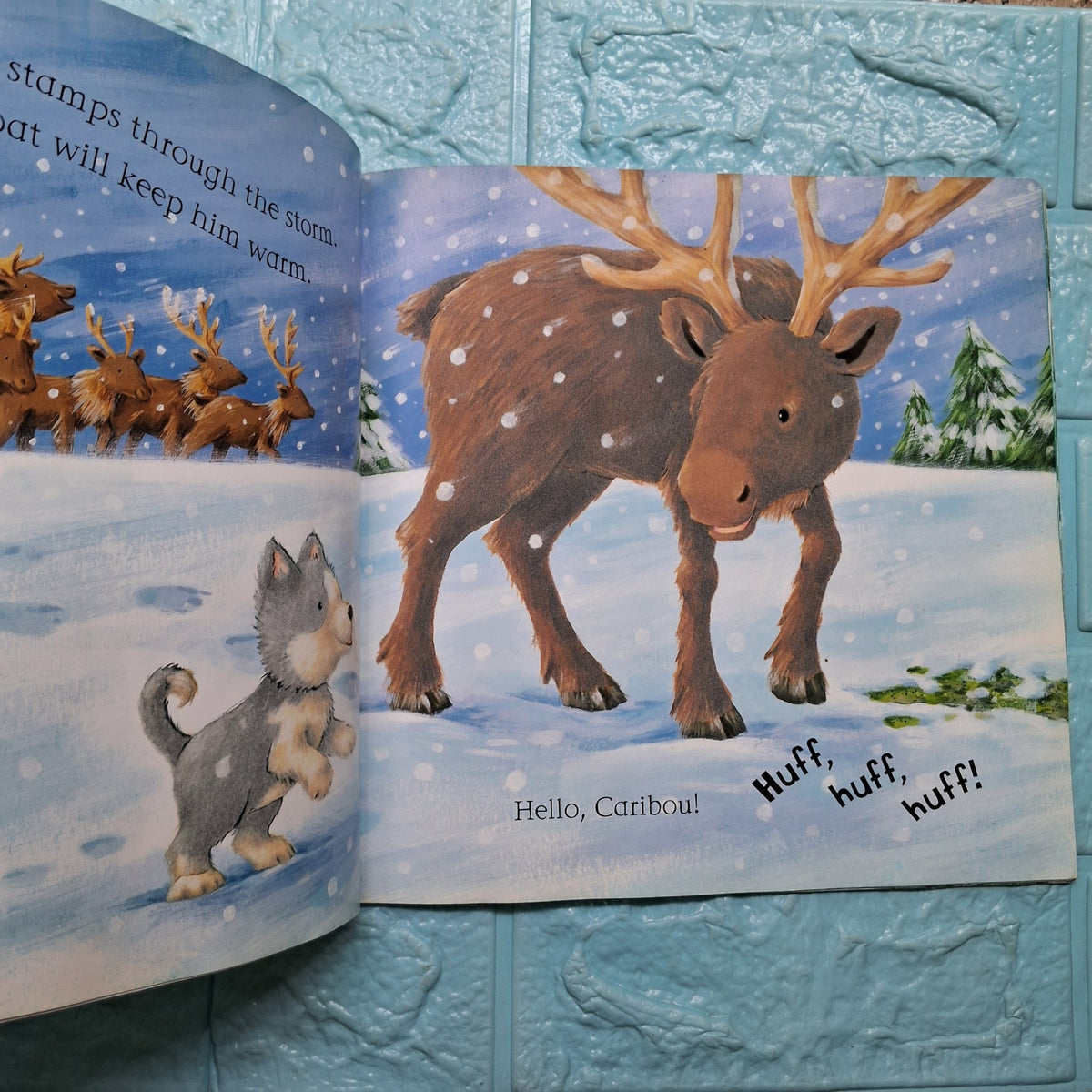 Say Hello to the Snowy Animals - Good Condition Paperback - We Are Turners