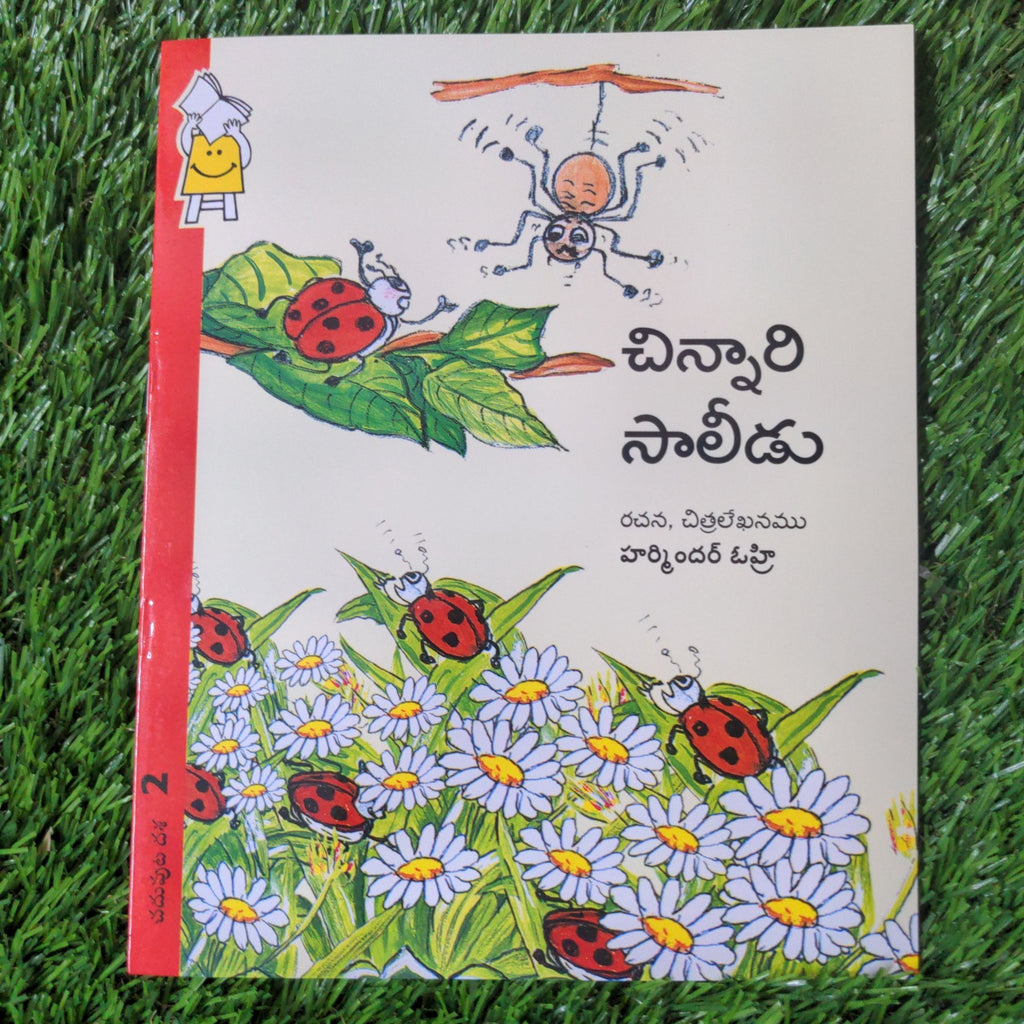spider plant in telugu Spincy Spider