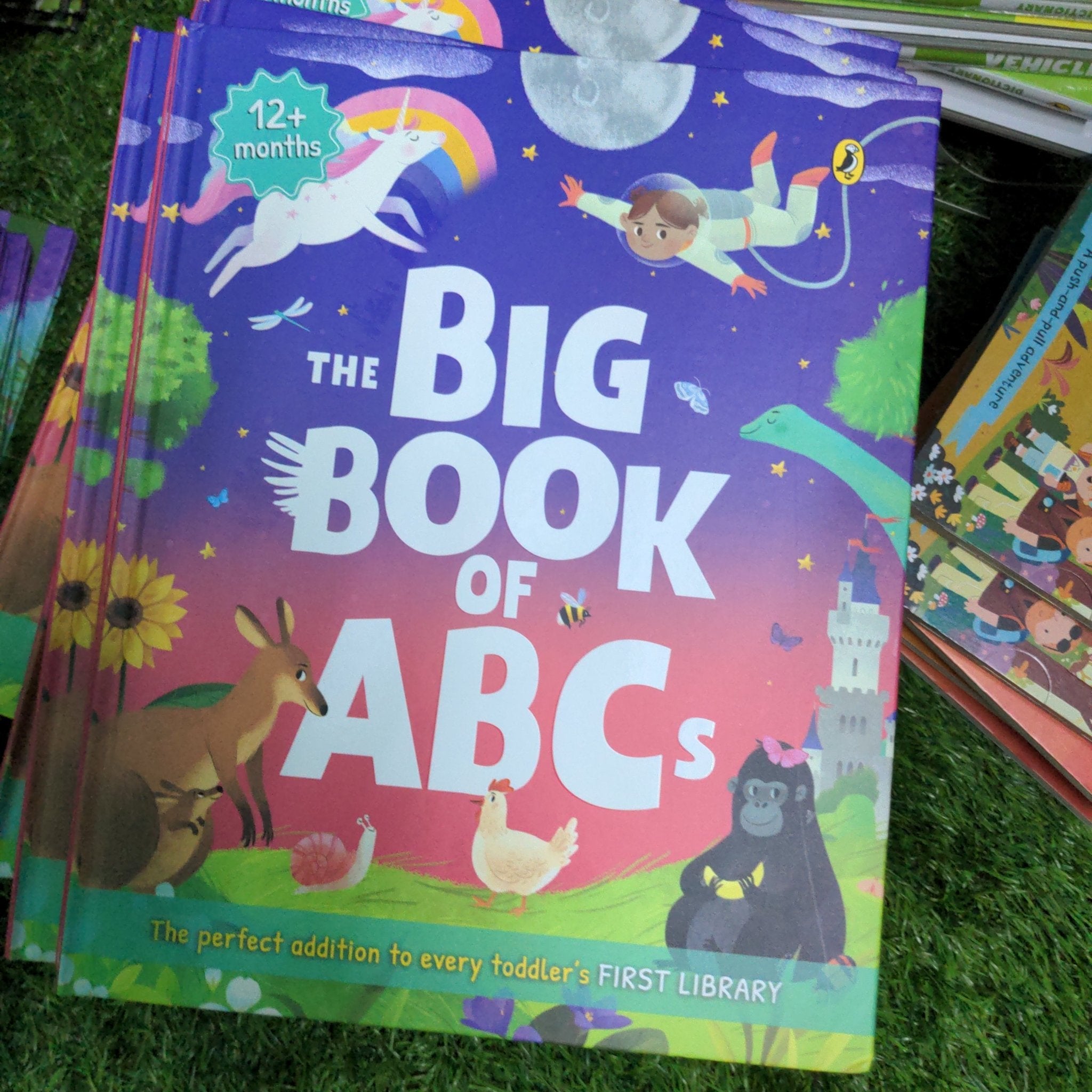 The Big Book of ABCs - We Are Turners