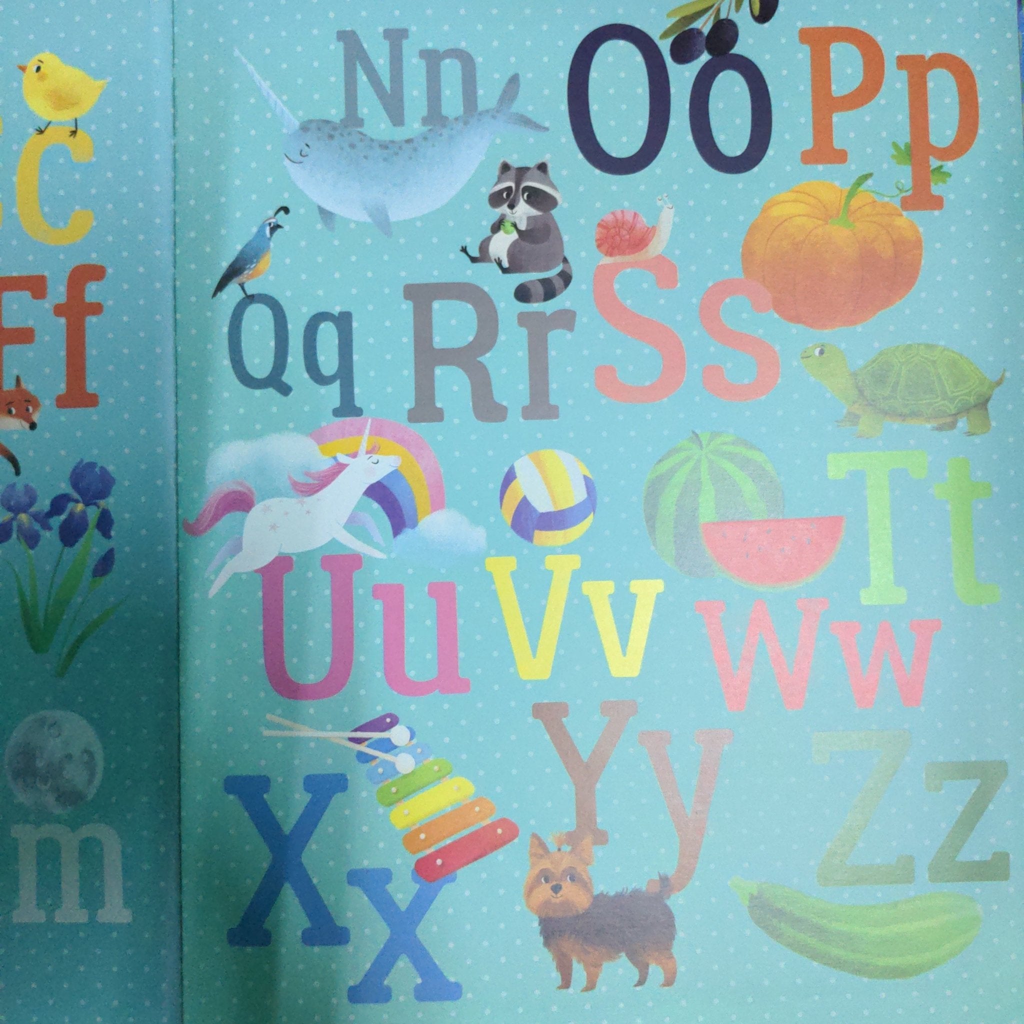 The Big Book of ABCs - We Are Turners