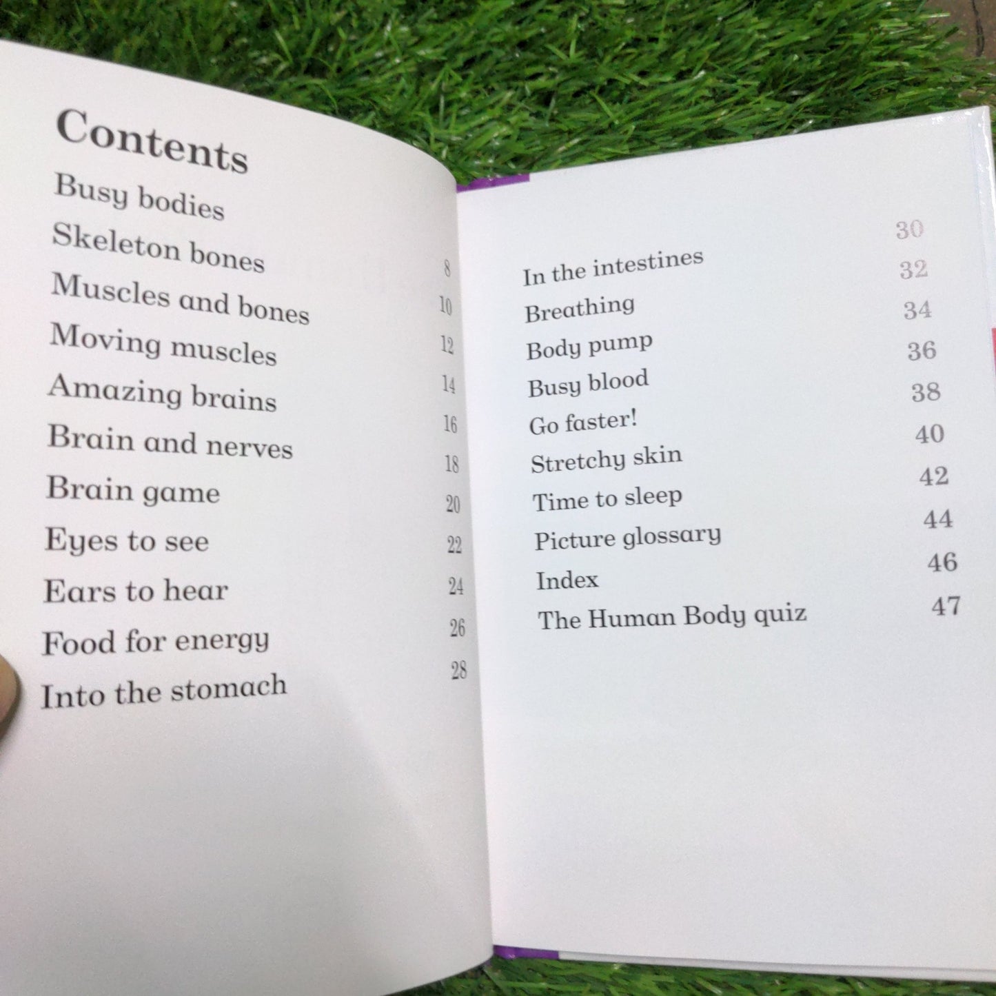 The Human Body - Read It Yourself with Ladybird Level 4 - We Are Turners