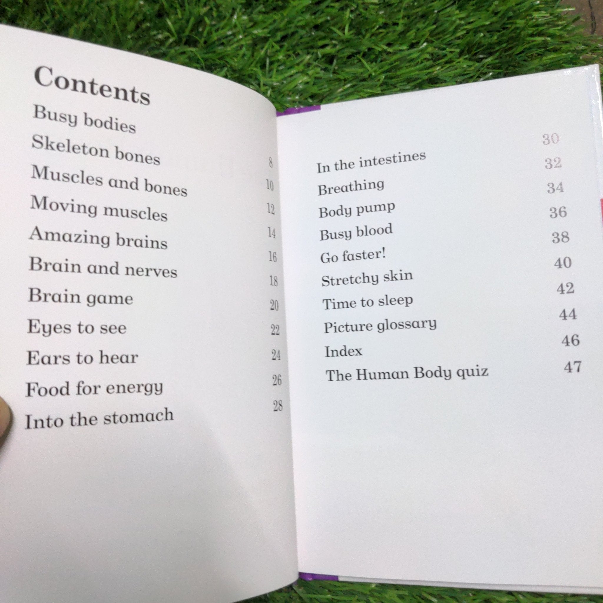 The Human Body - Read It Yourself with Ladybird Level 4 - We Are Turners