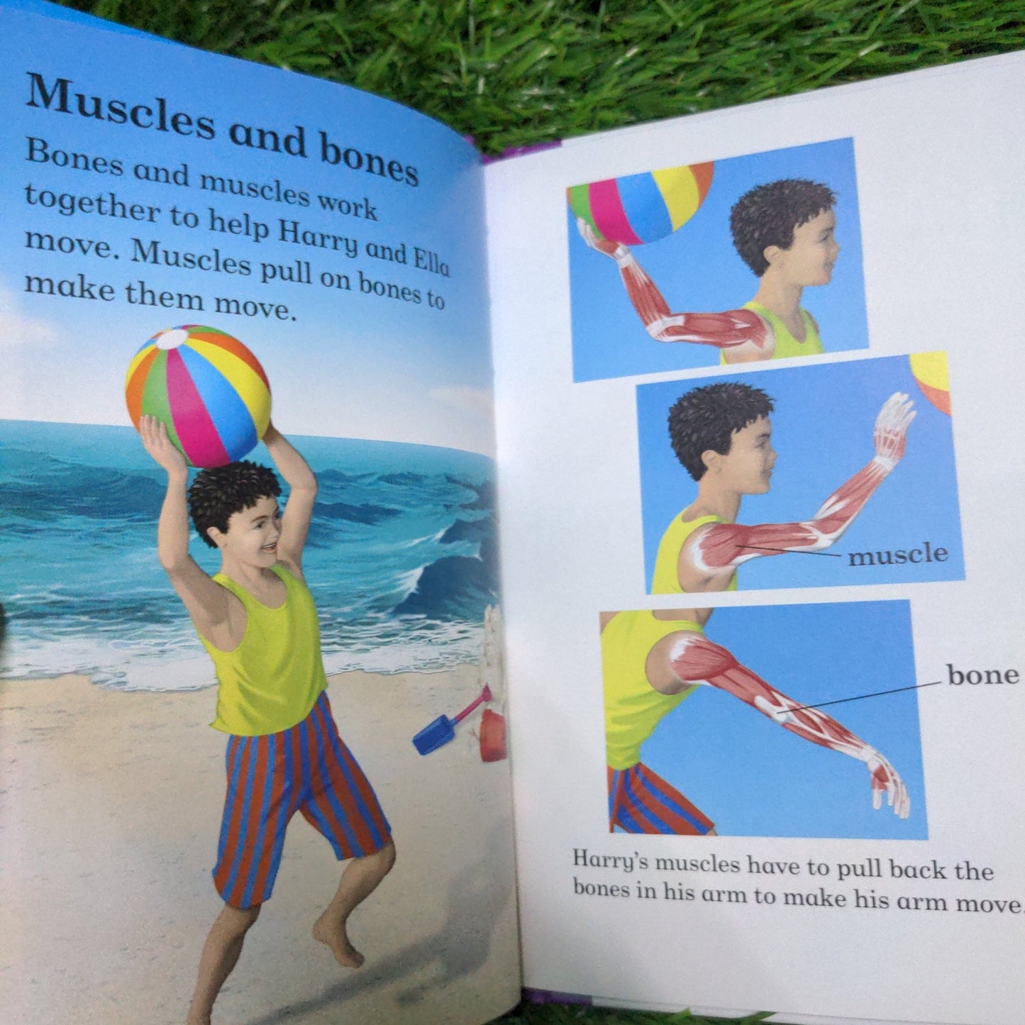 The Human Body - Read It Yourself with Ladybird Level 4 - We Are Turners