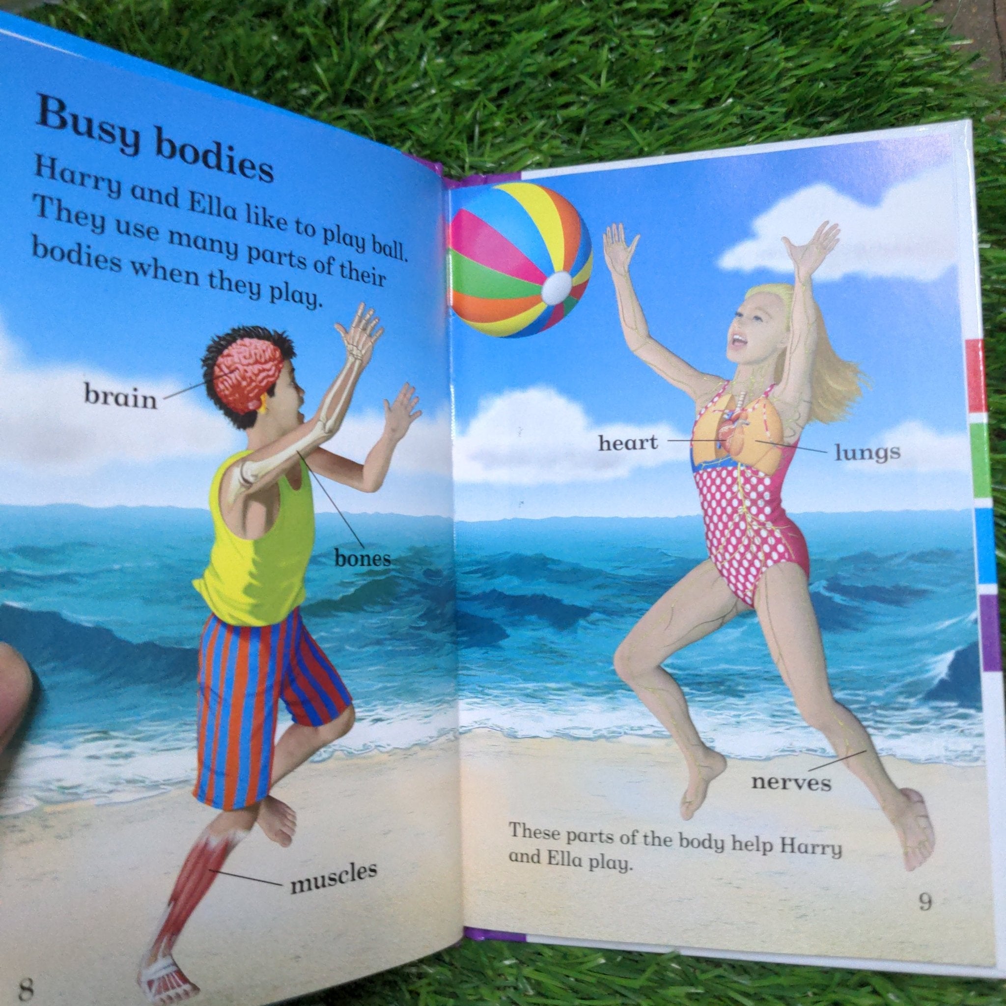 The Human Body - Read It Yourself with Ladybird Level 4 - We Are Turners