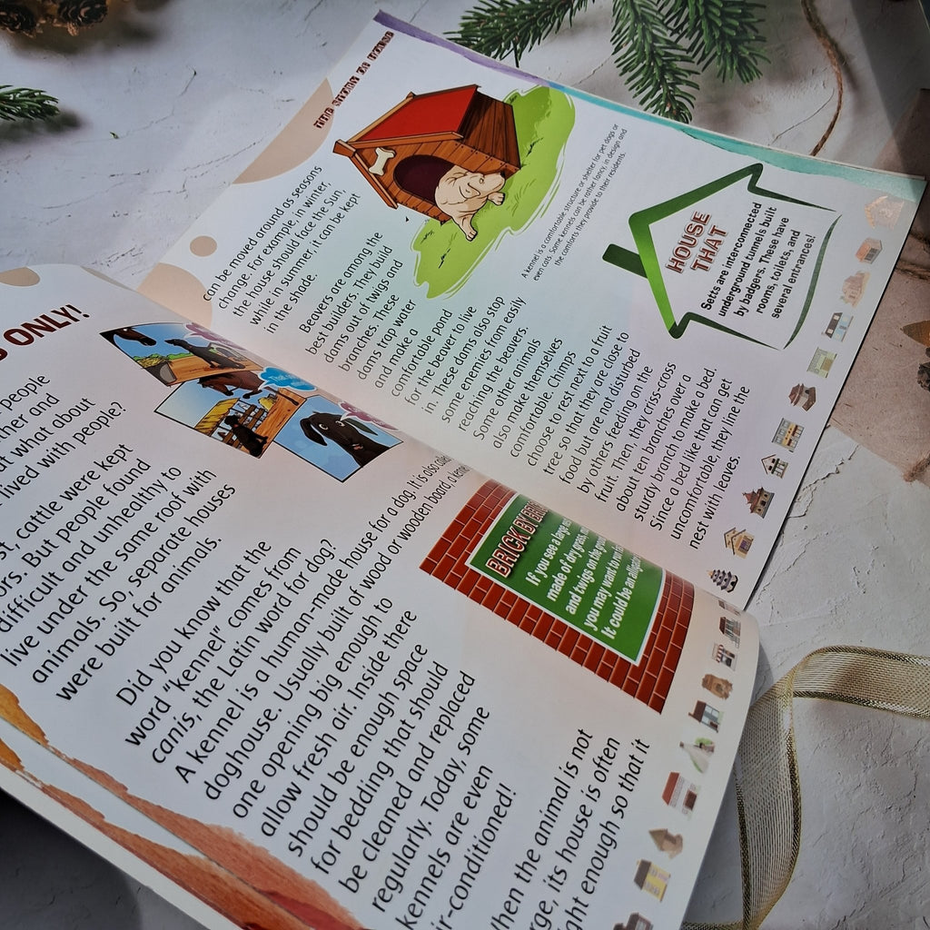 The Story of House (Save energy, save the environment! Make your home energy efficient) - We Are Turners