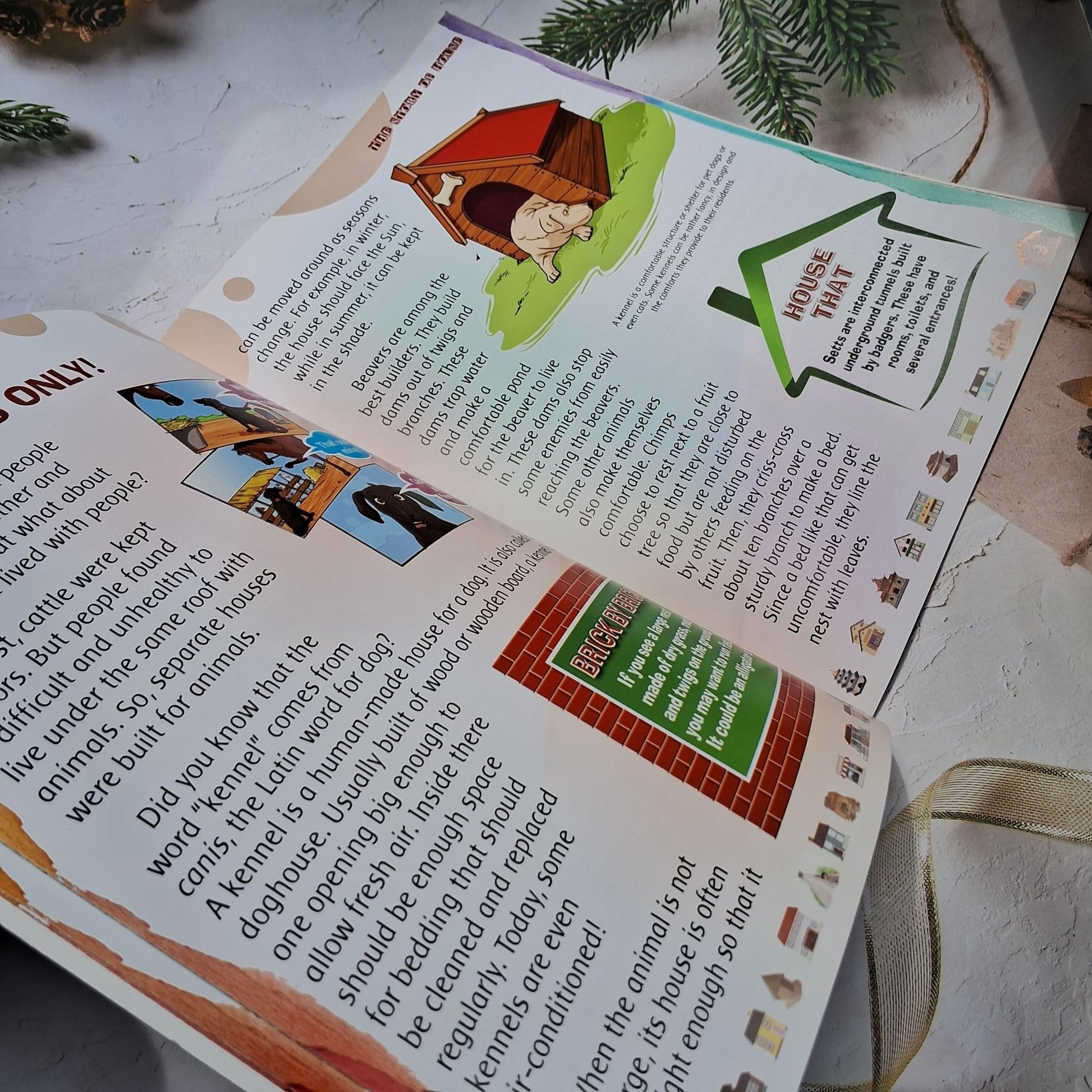 The Story of House (Save energy, save the environment! Make your home energy efficient) - We Are Turners