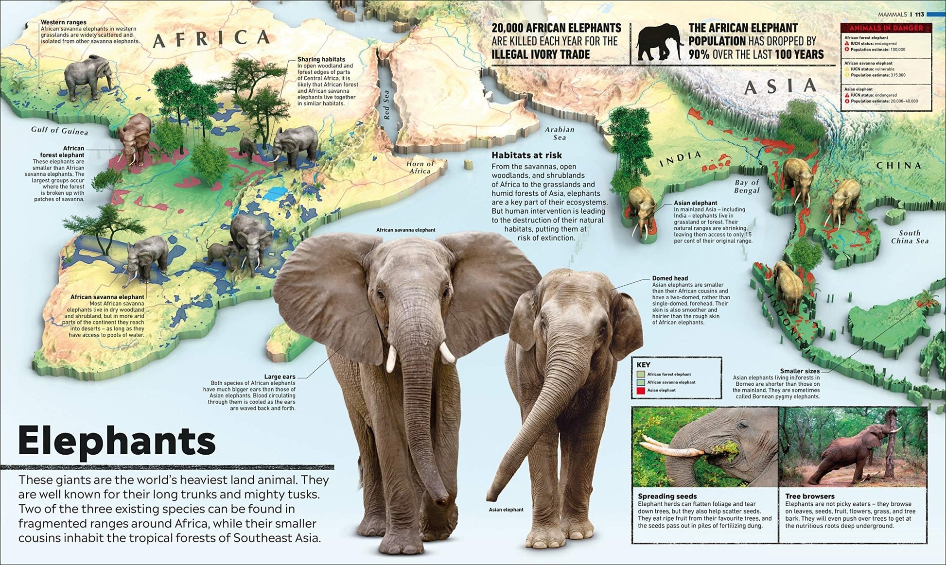 Whats Where on Earth? Animal Atlas - We Are Turners