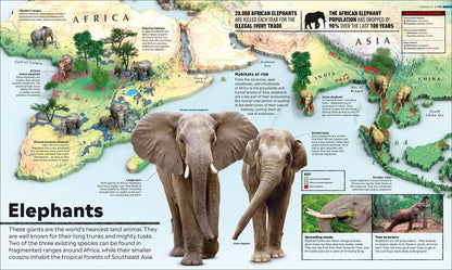 Whats Where on Earth? Animal Atlas - We Are Turners