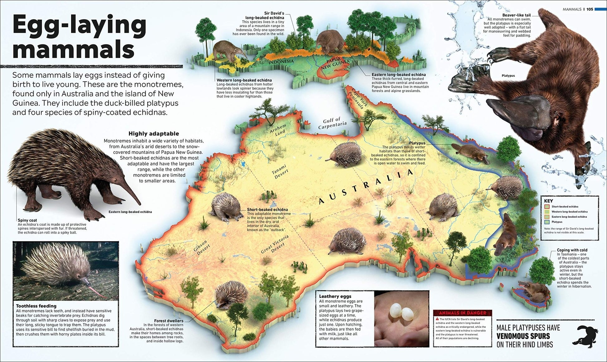 Whats Where on Earth? Animal Atlas - We Are Turners