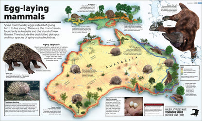 Whats Where on Earth? Animal Atlas - We Are Turners