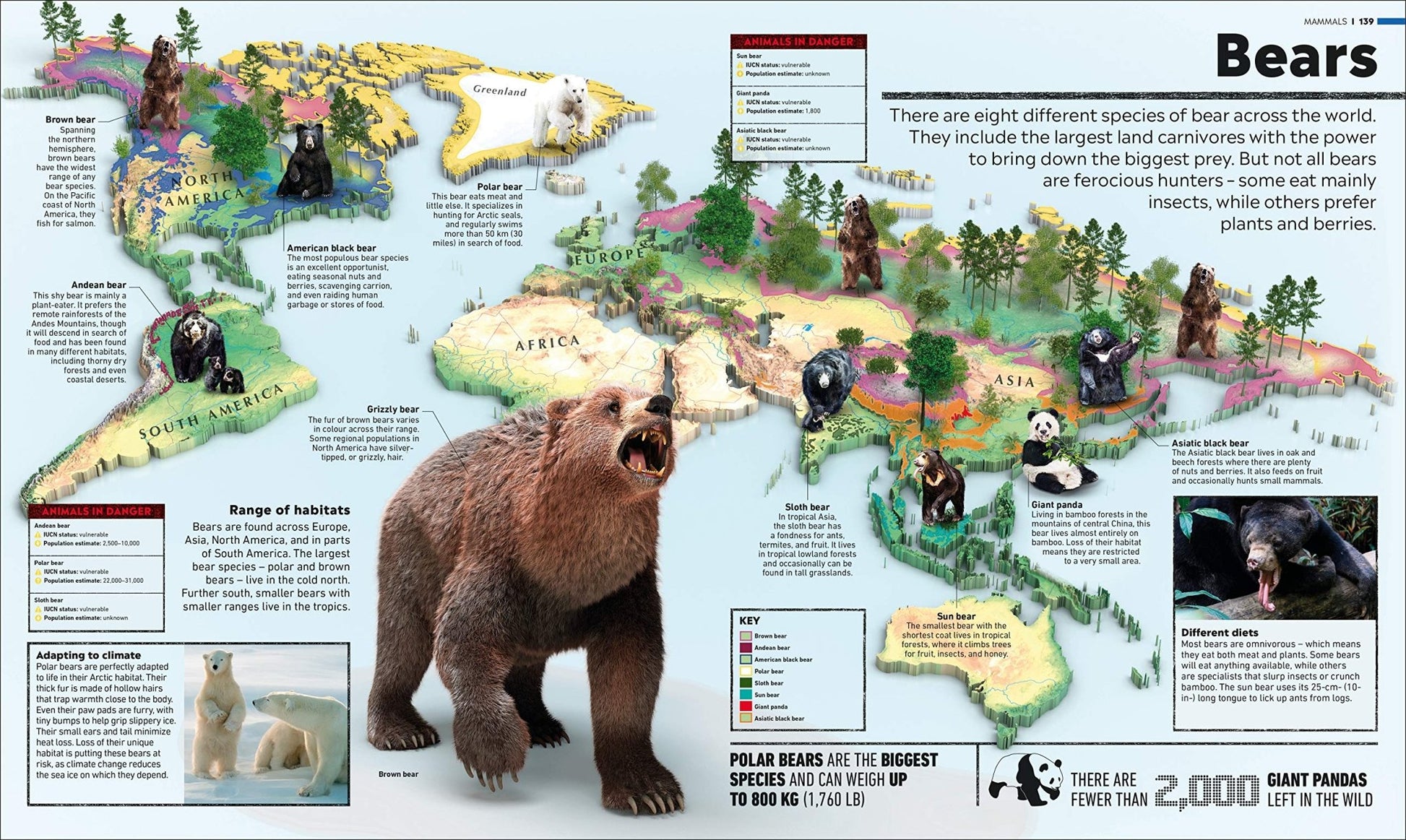 Whats Where on Earth? Animal Atlas - We Are Turners