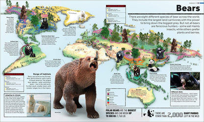 Whats Where on Earth? Animal Atlas - We Are Turners