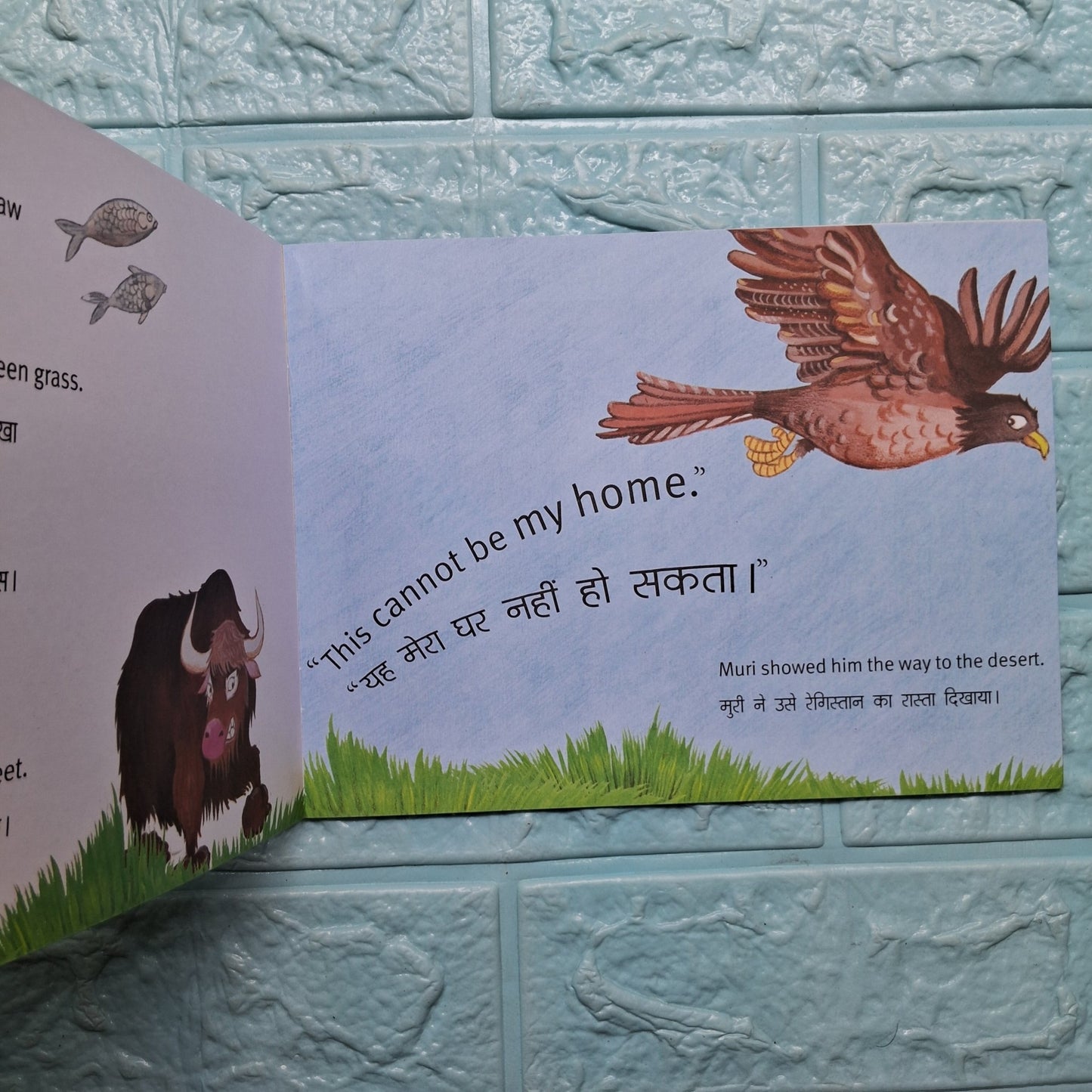 WHERE IS GOLA'S HOME? ENG/HINDI: - We Are Turners