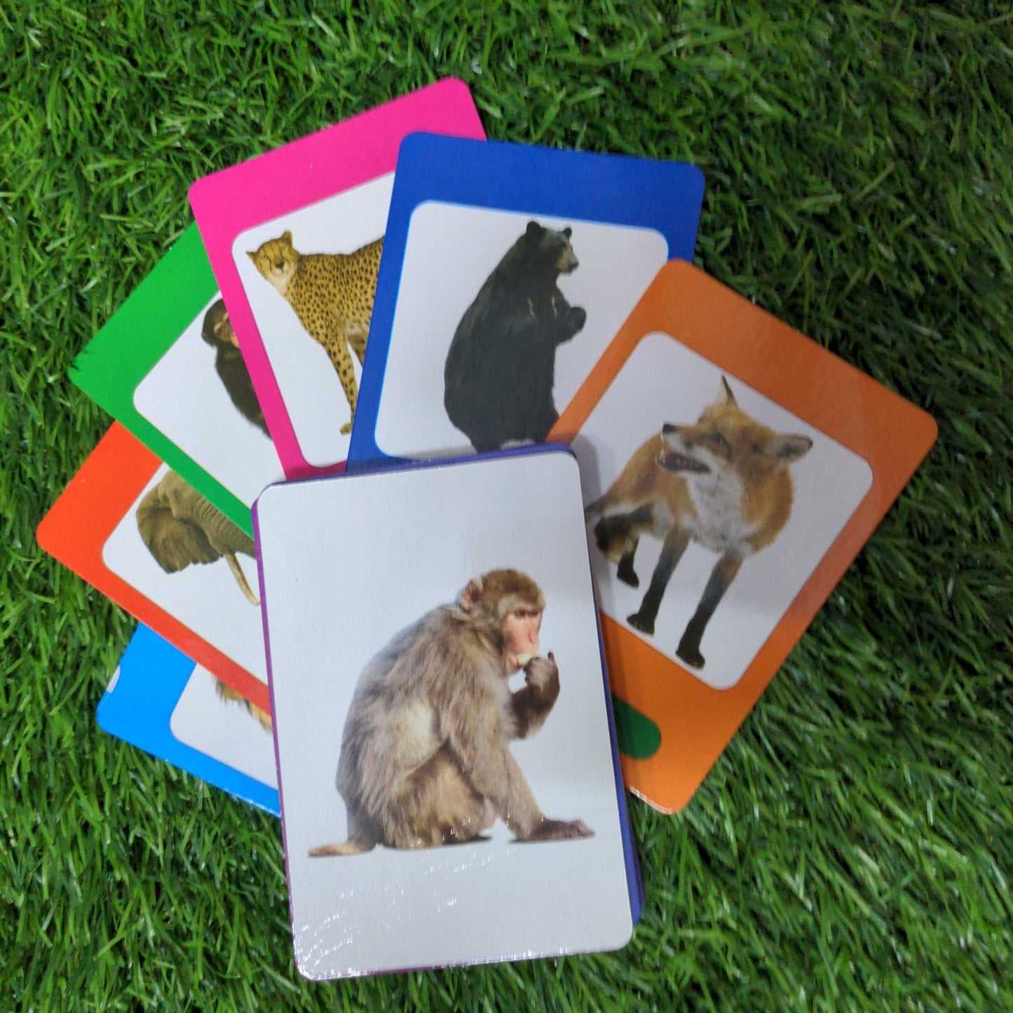 Wild Animals - We Are Turners