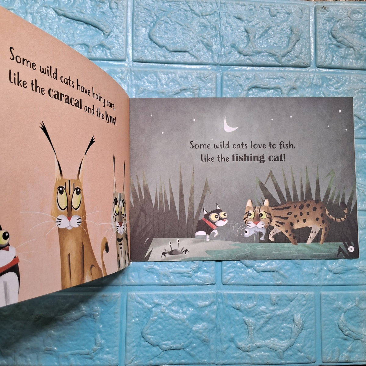 Wild Cat! Wild Cat! - English - Level 1 - Pratham - We Are Turners