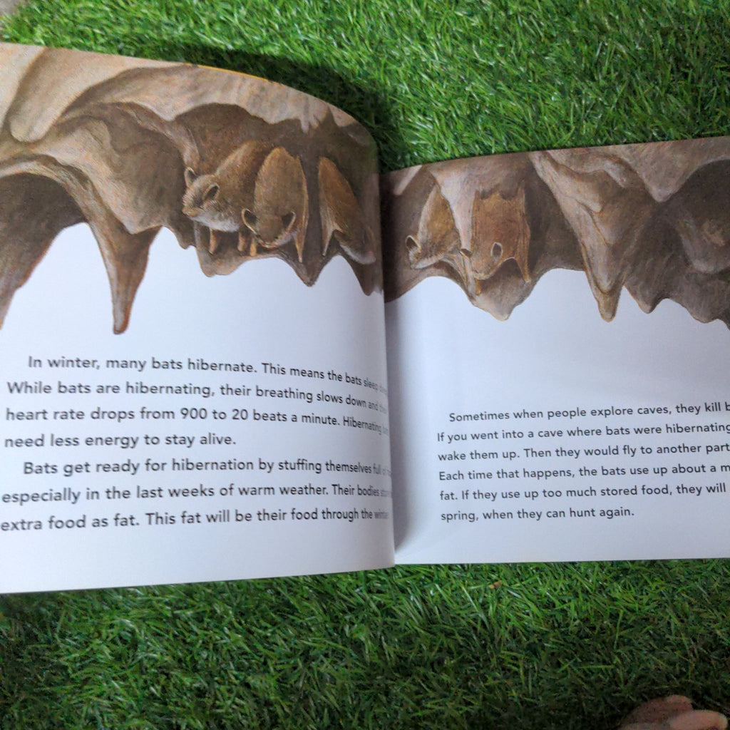 ZIPPING, ZAPPING, ZOOMING BATS - We Are Turners
