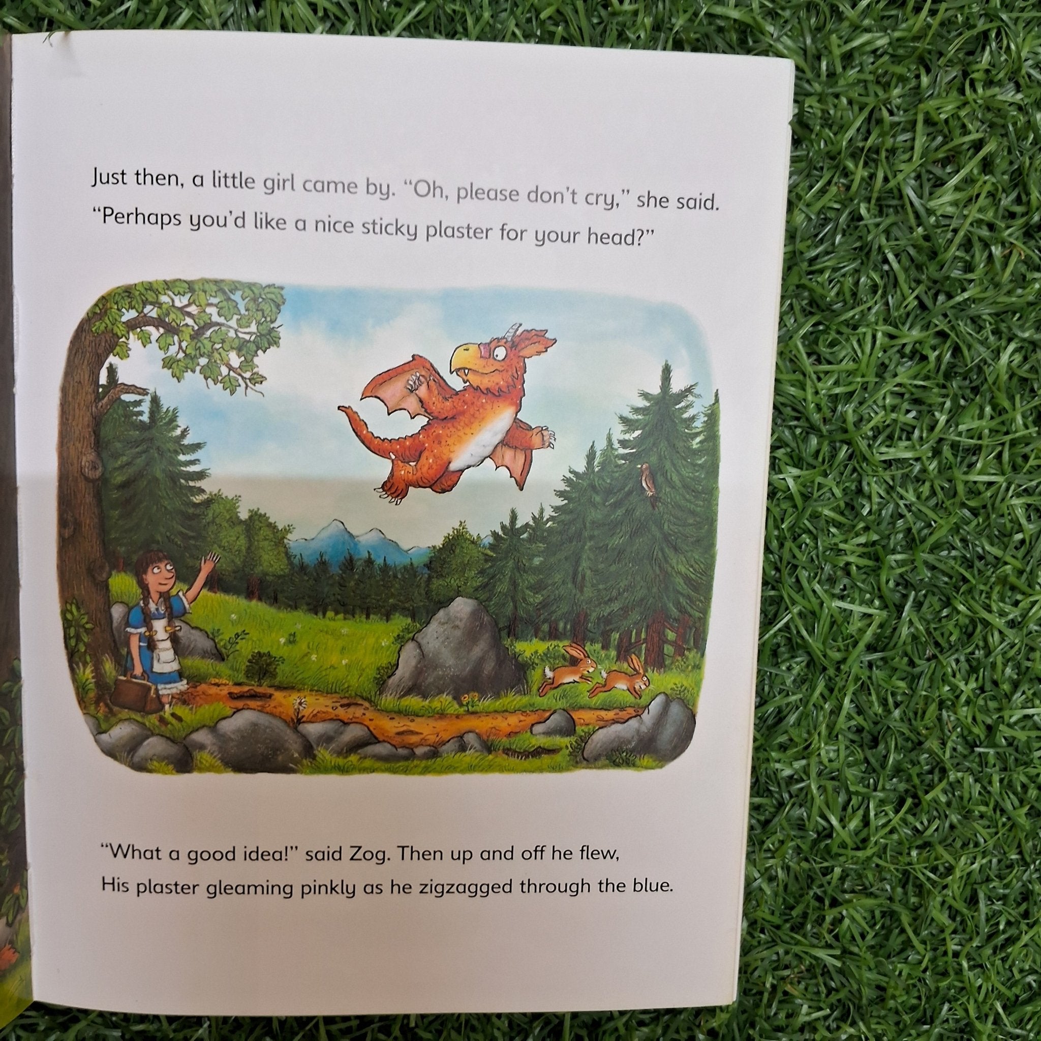 ZOG Early Reader - We Are Turners