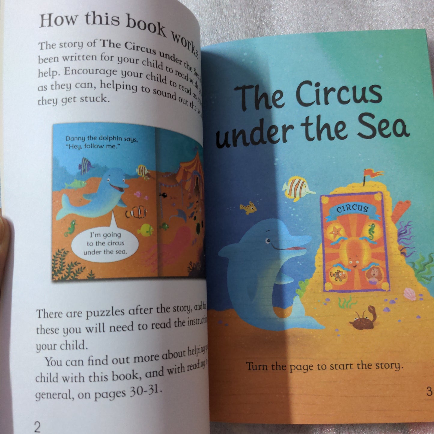 The Circus under the Sea