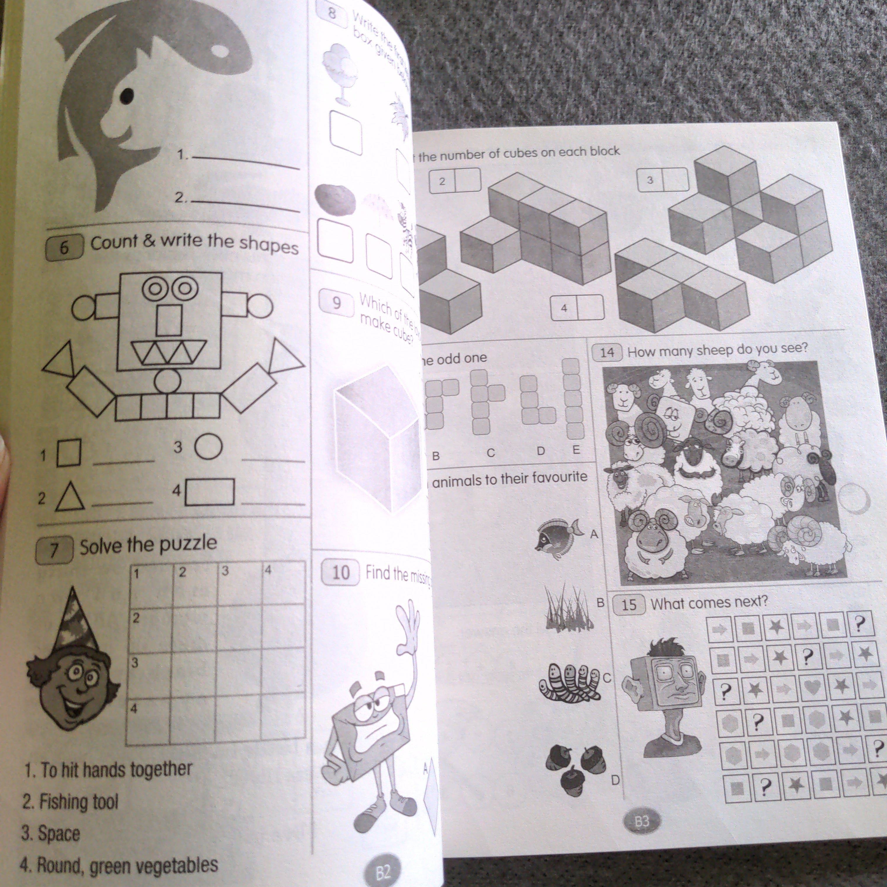 Giant book of Activities