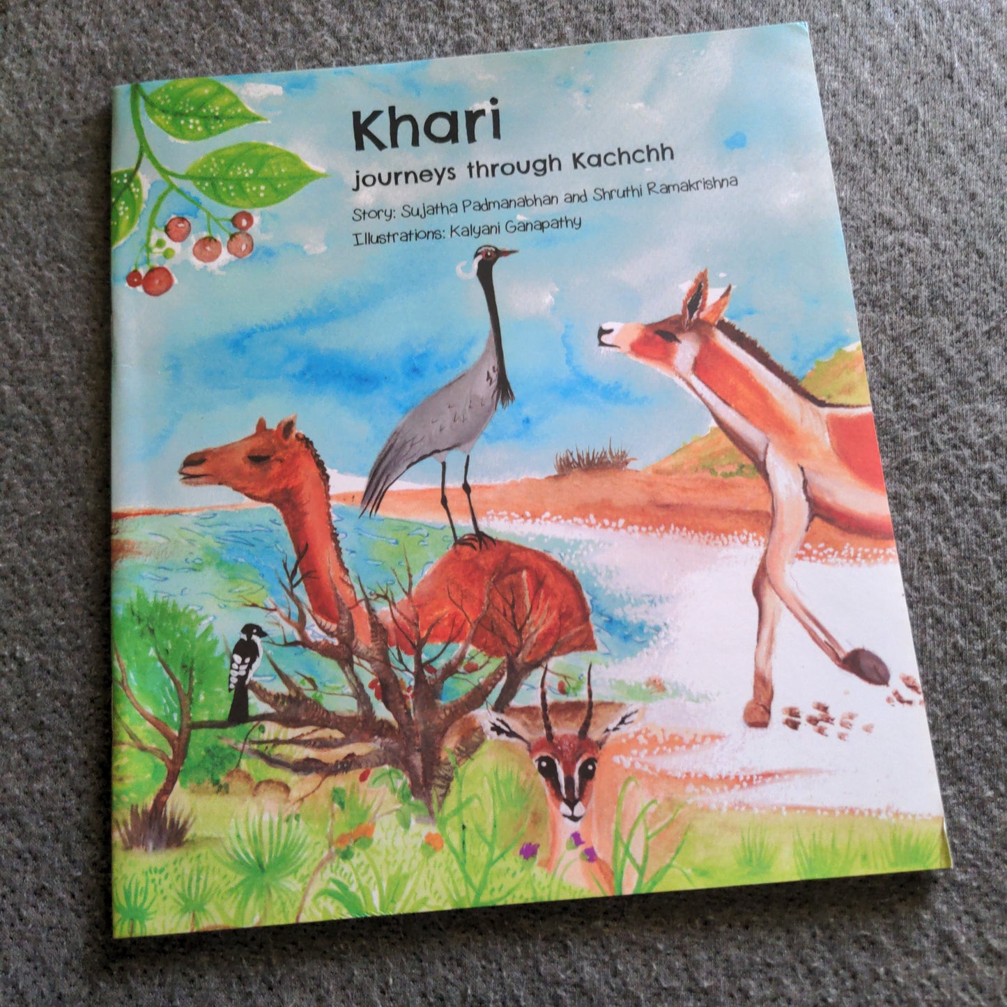 Khari Journeys through Kuchh