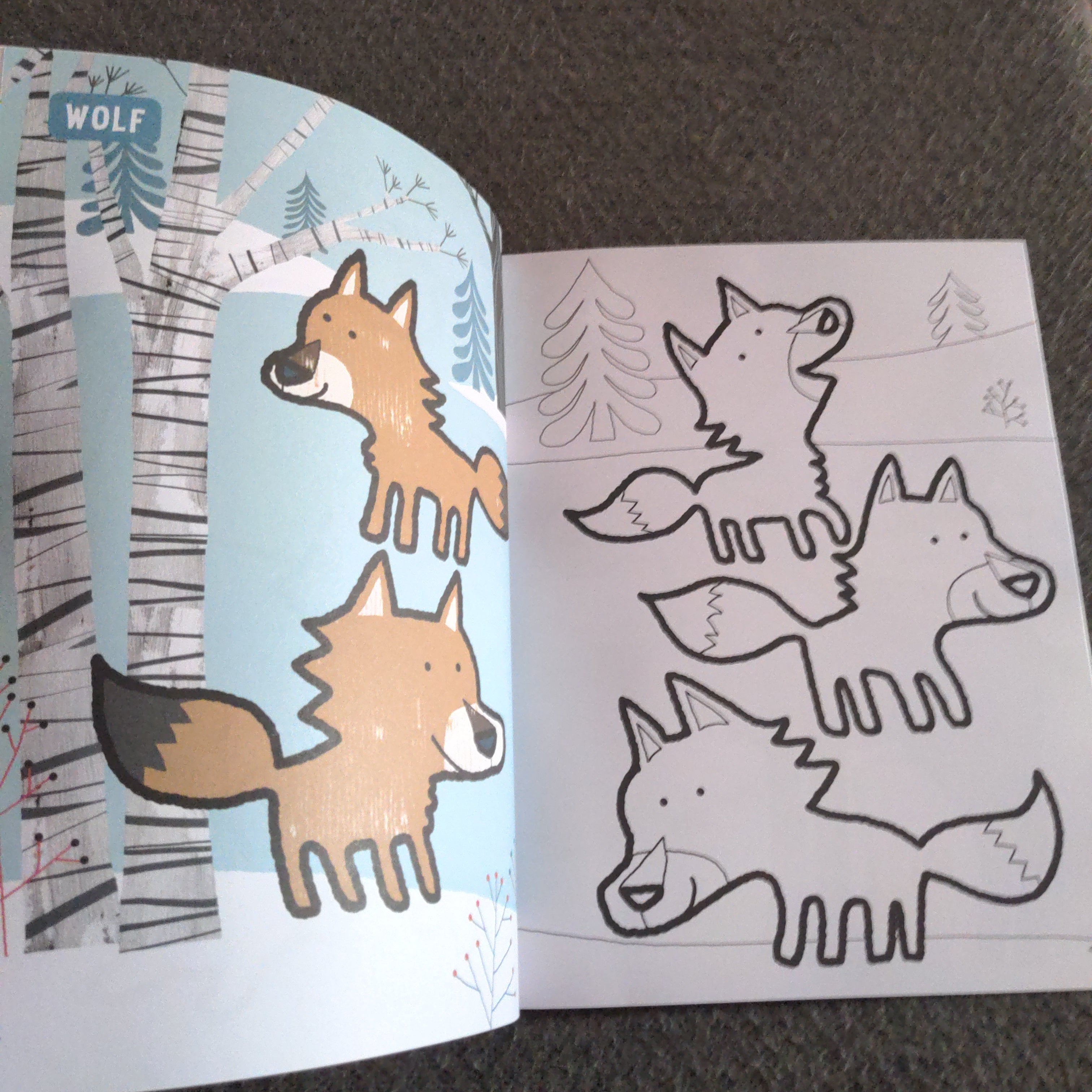 Animals from the Arctic - Colour with WWF