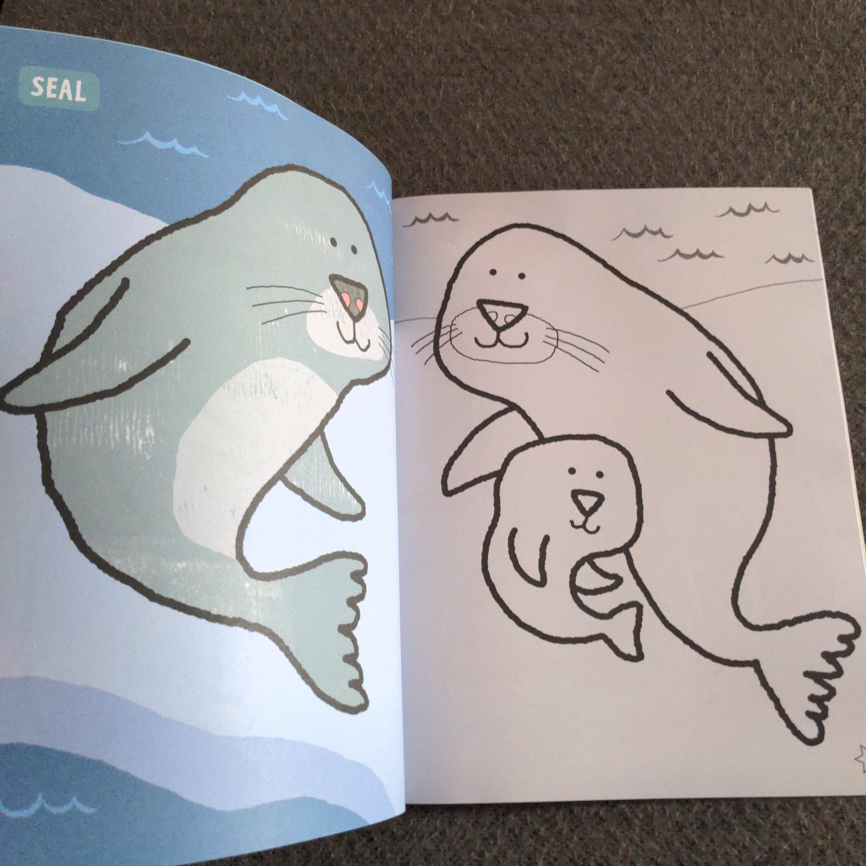 Animals from the Arctic - Colour with WWF
