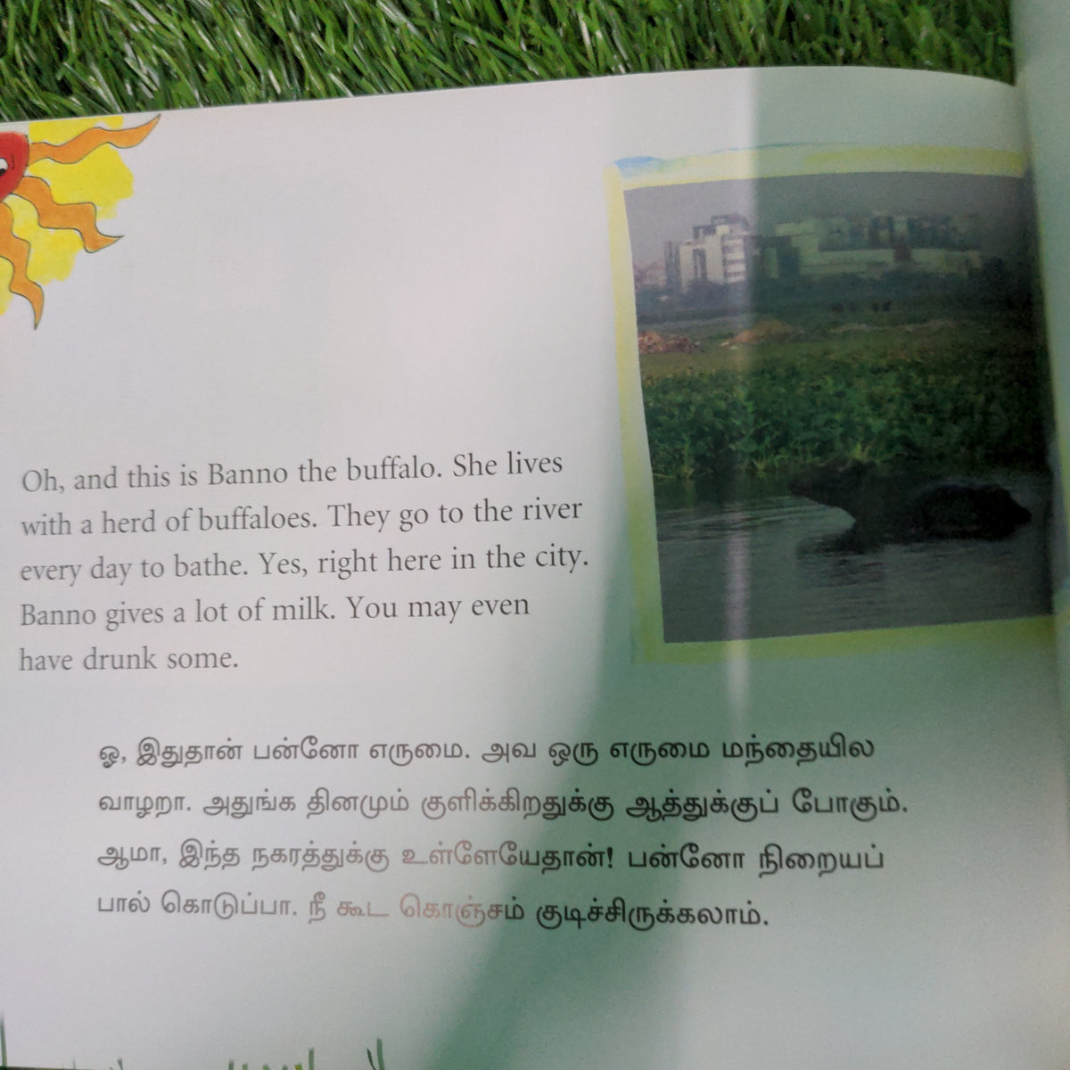 MY FRIENDS IN THE CITY - English Tamil Bilingual Kids Book