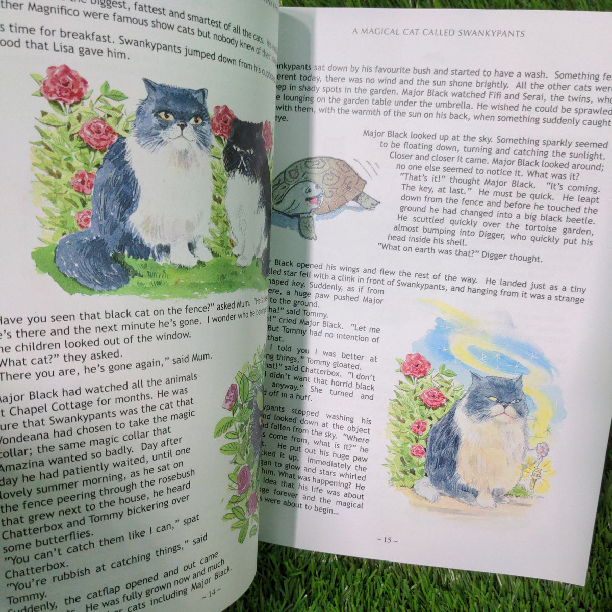 The Magical Journey of a Cat called Swanky pants