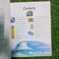 100 facts on Weathers