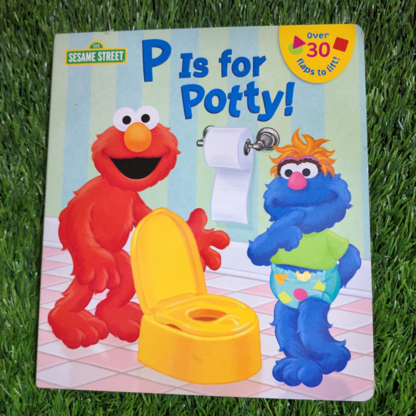 P is for Potty! (Sesame Street)