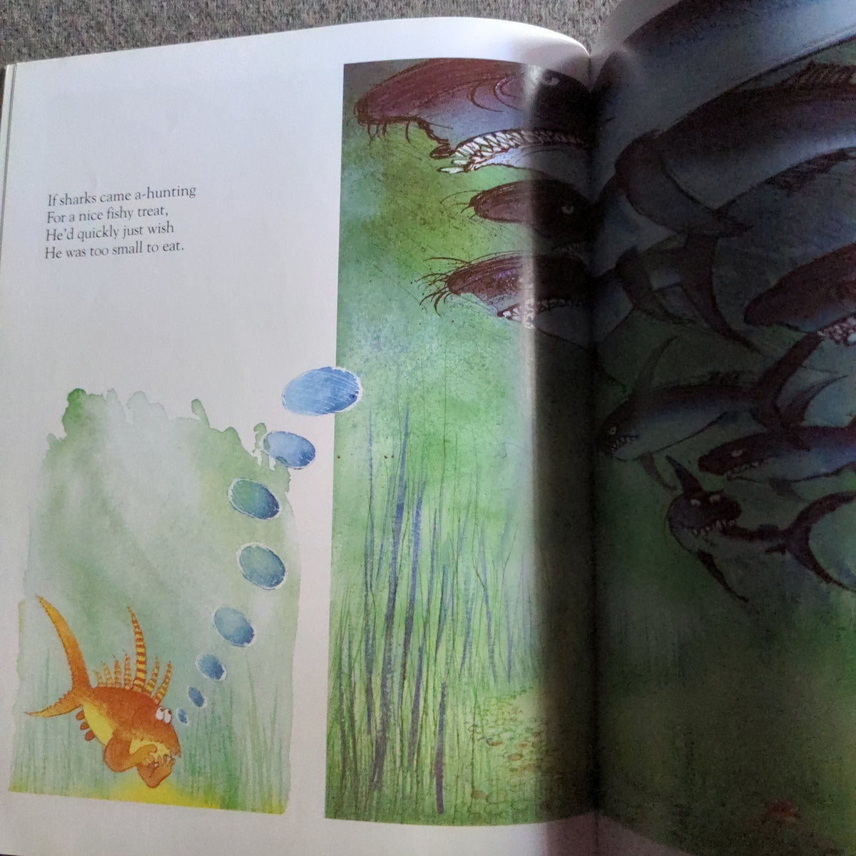 The Fish who could Wish