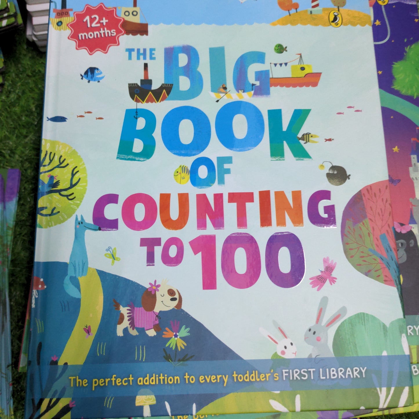 The Big Book of Counting To 100