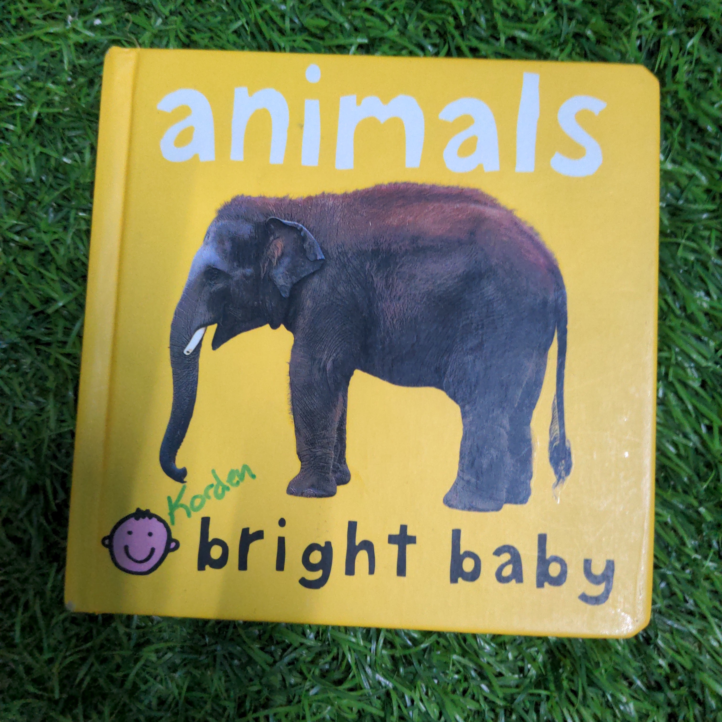 Bright baby animals clearance