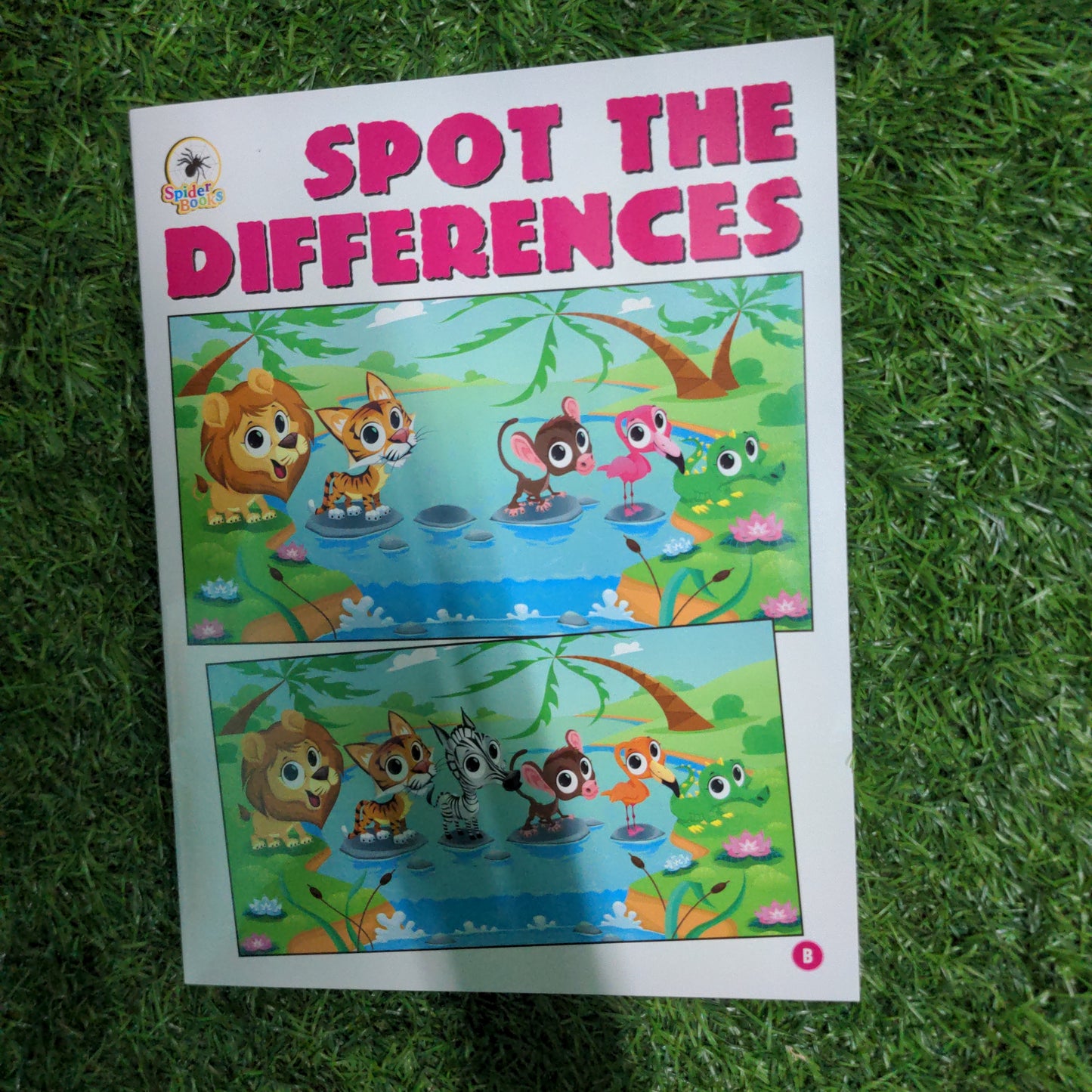 Spot the Differences - Single Book