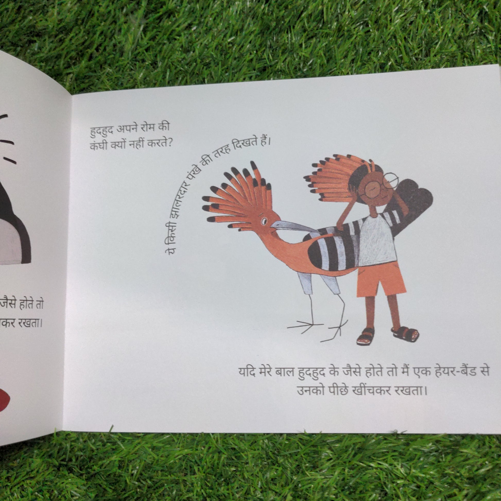 Why dont Birds Comb their Hair - Hindi?