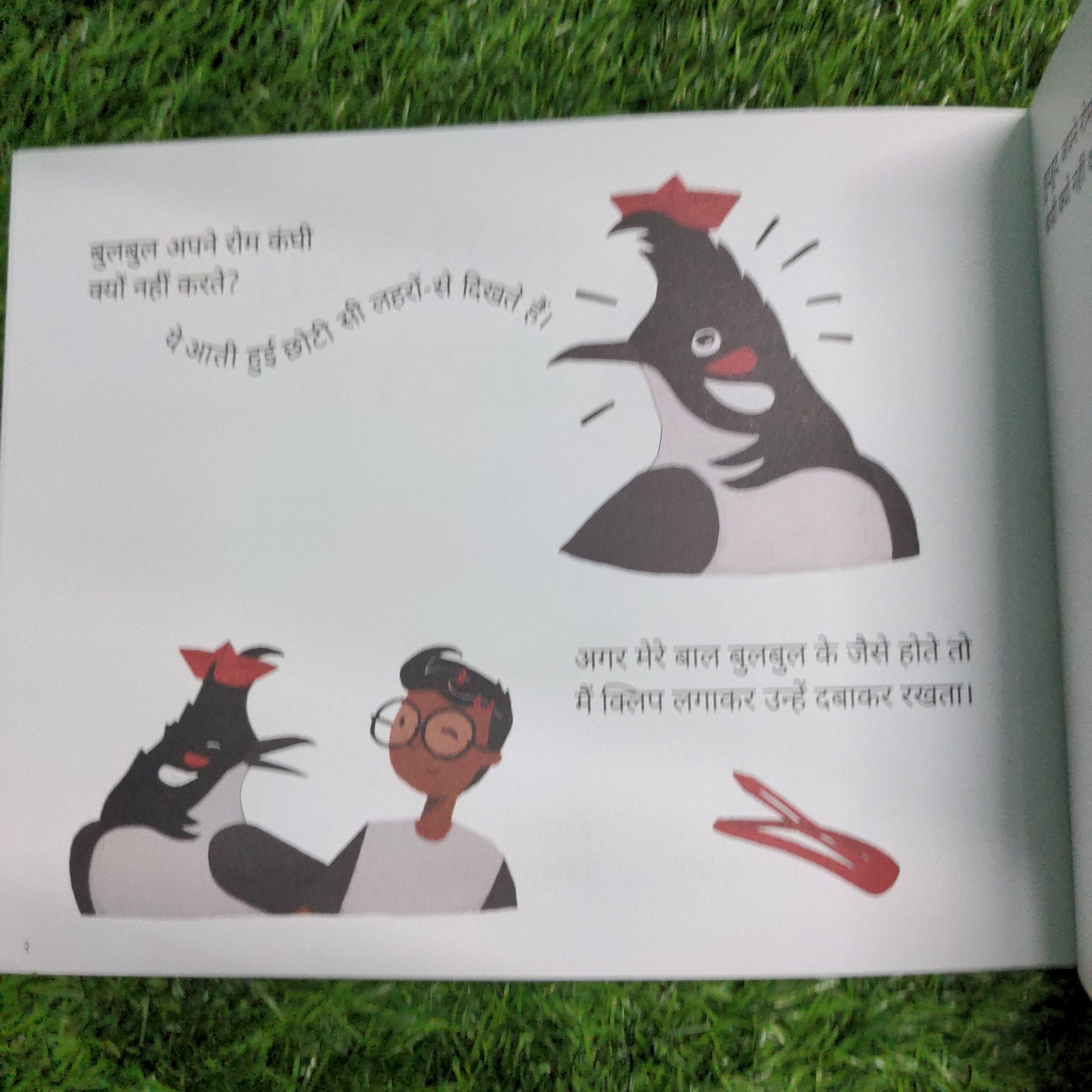 Why dont Birds Comb their Hair - Hindi?