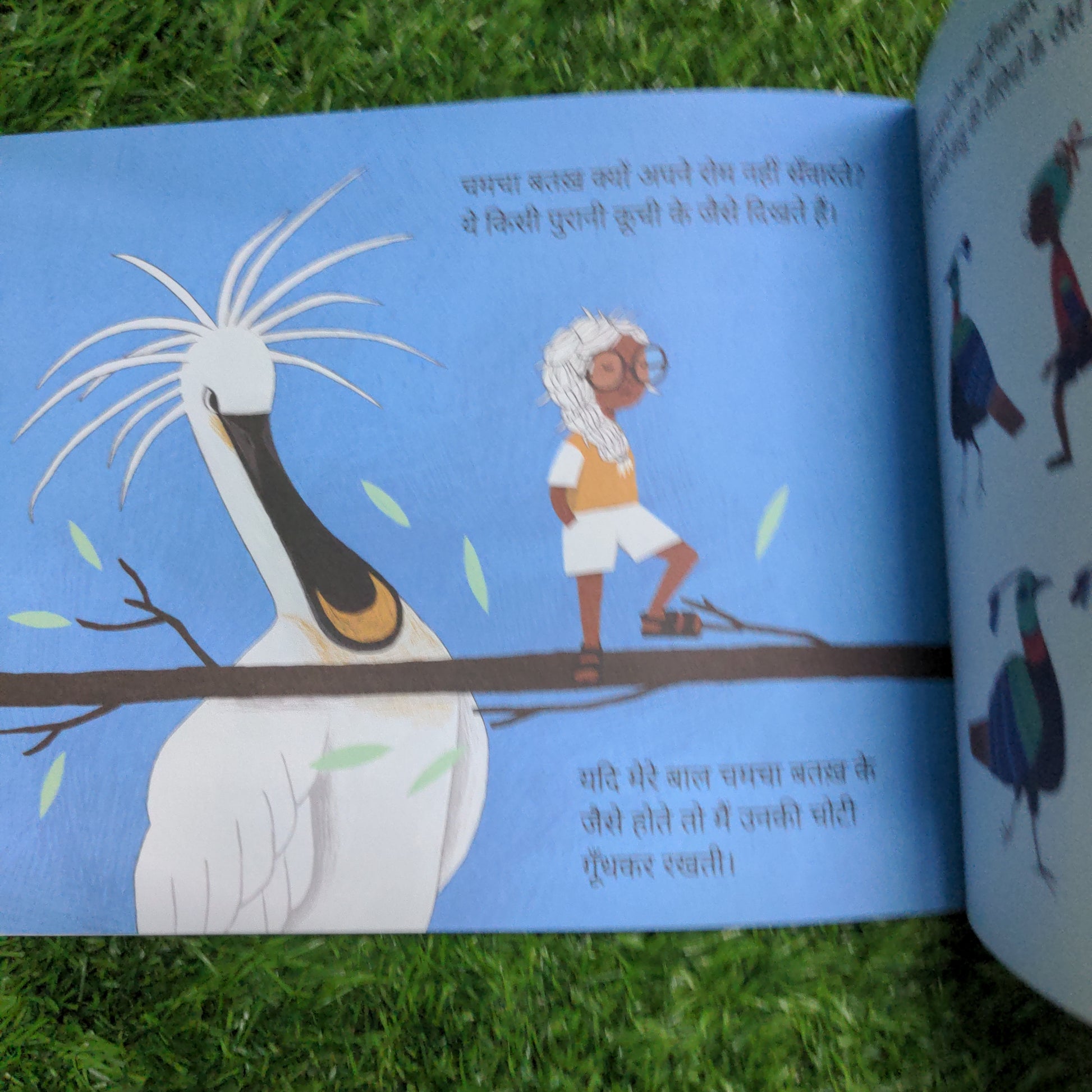 Why dont Birds Comb their Hair - Hindi?
