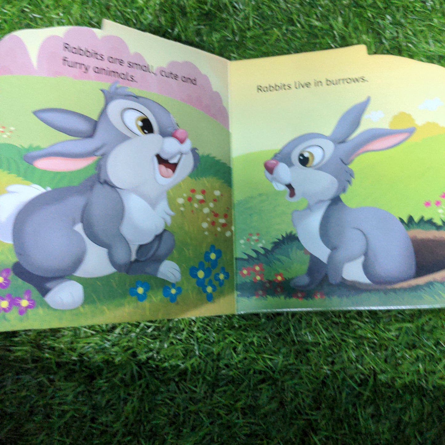 Rabbit - Shaped Board Book