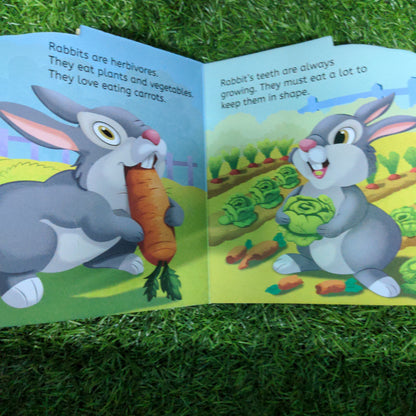 Rabbit - Shaped Board Book
