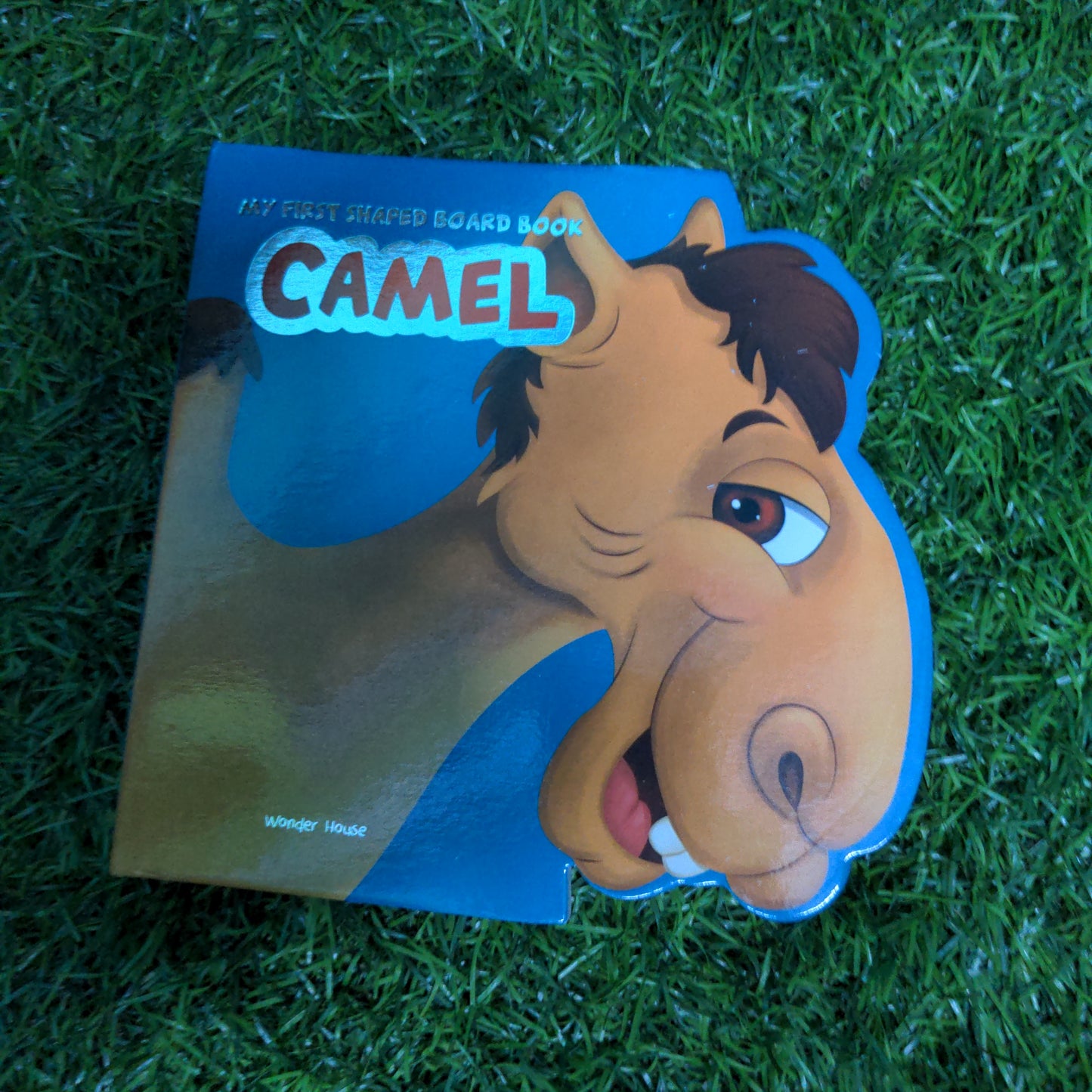 Camel - Shaped Board Book