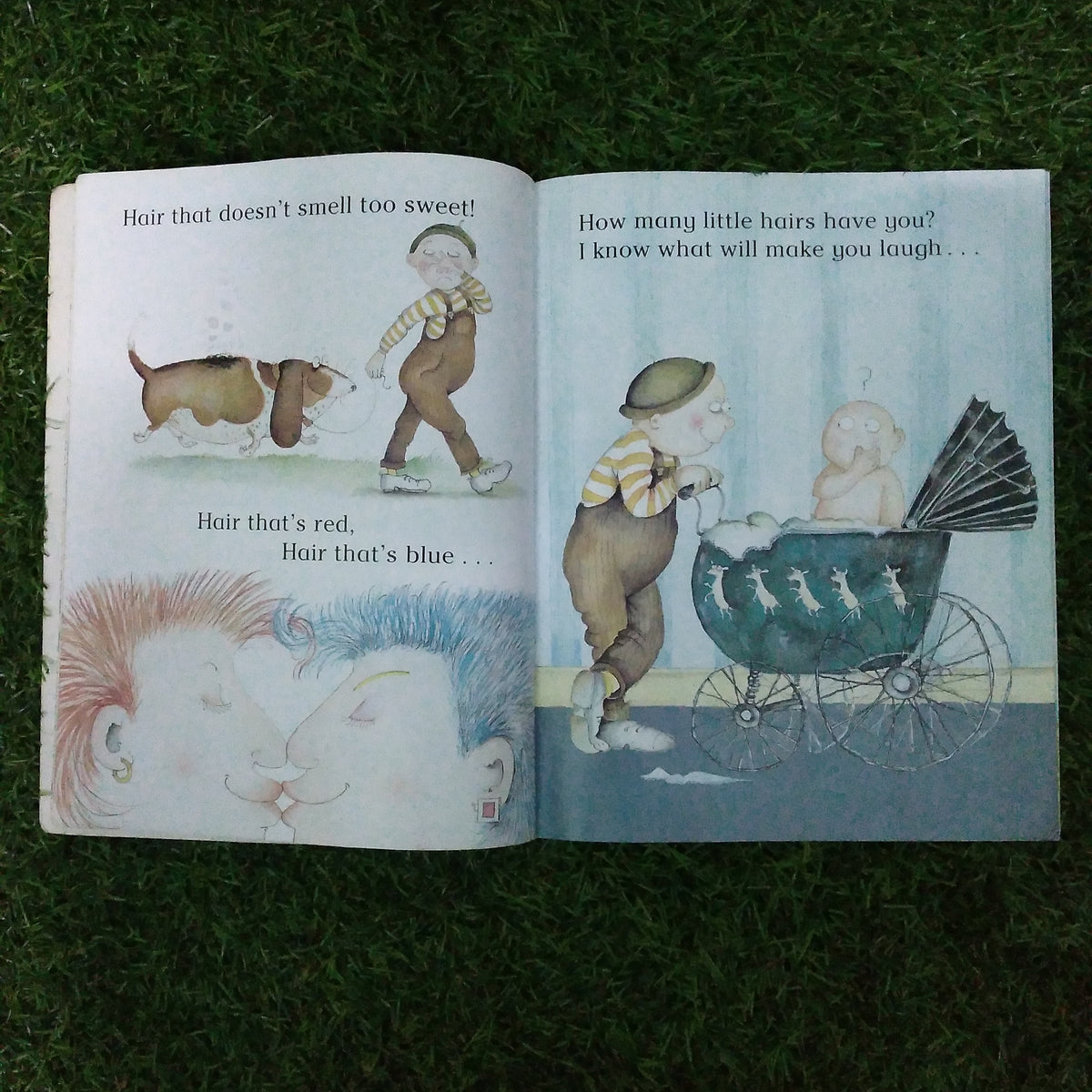 The Hairy book