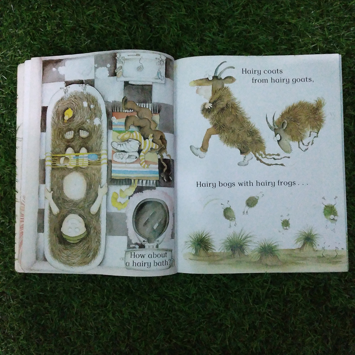 The Hairy book