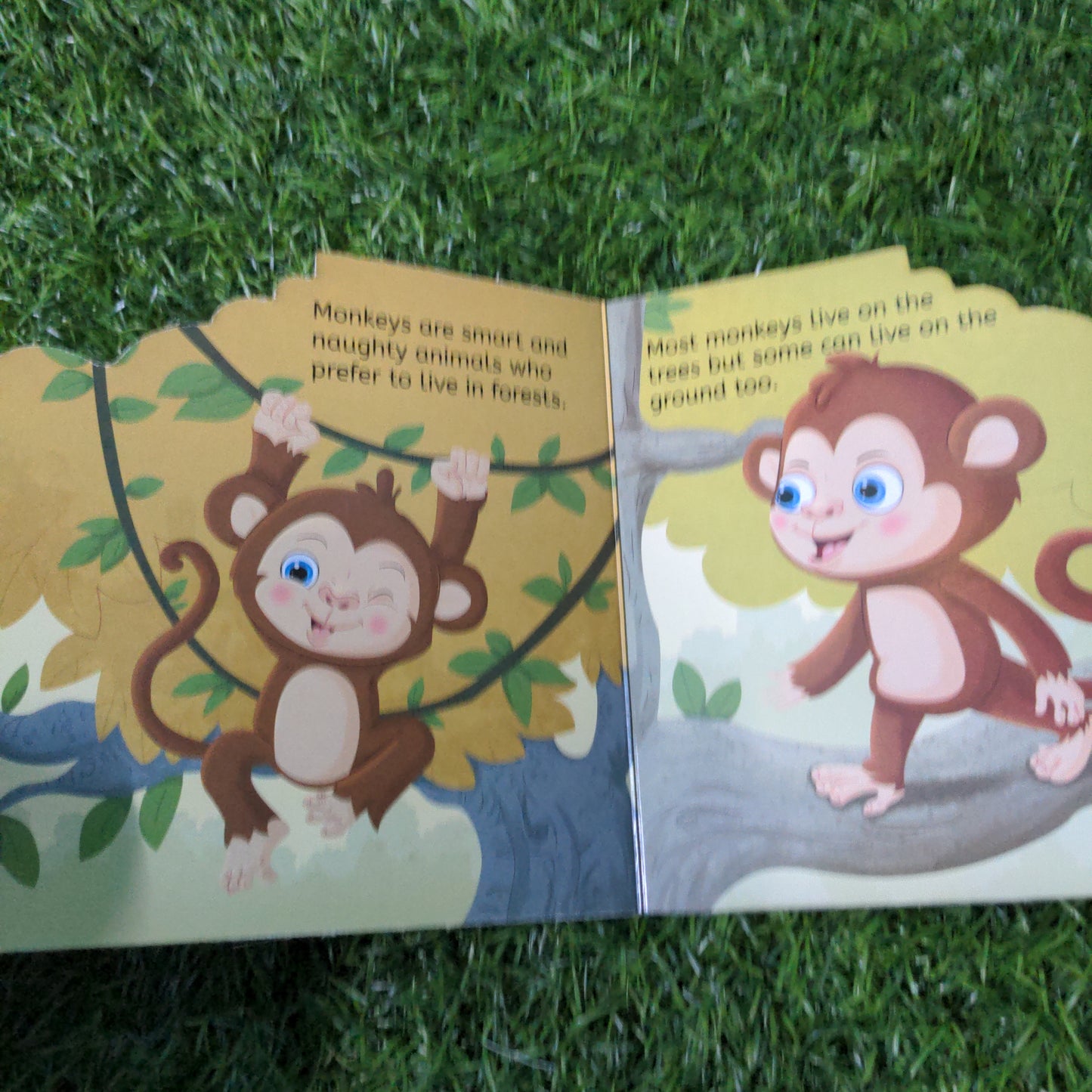 Monkey - Shaped Board Book